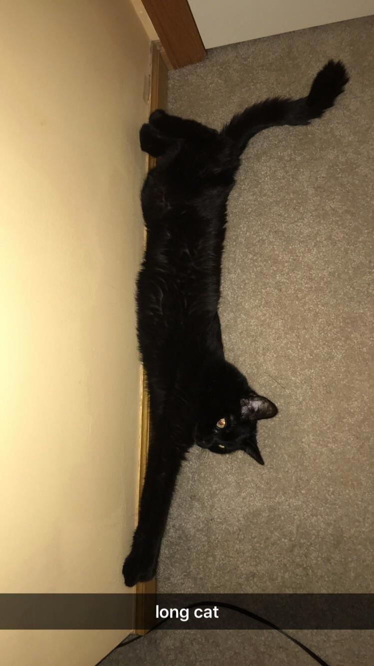 She Reach