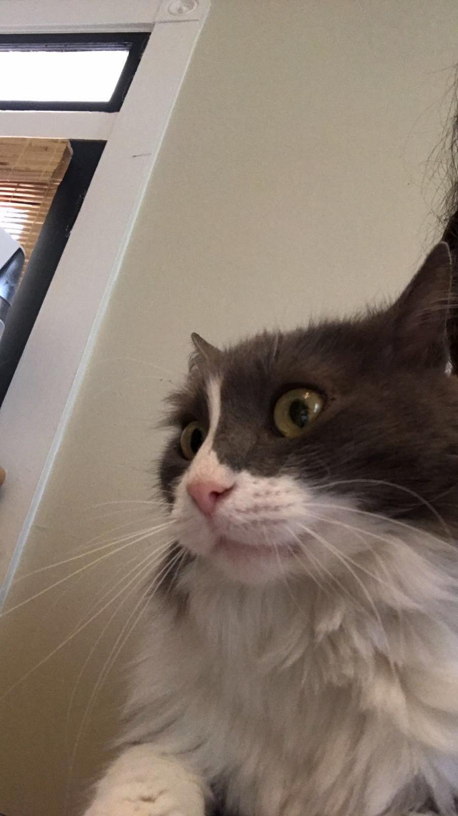 She Thought She Saw a Fly