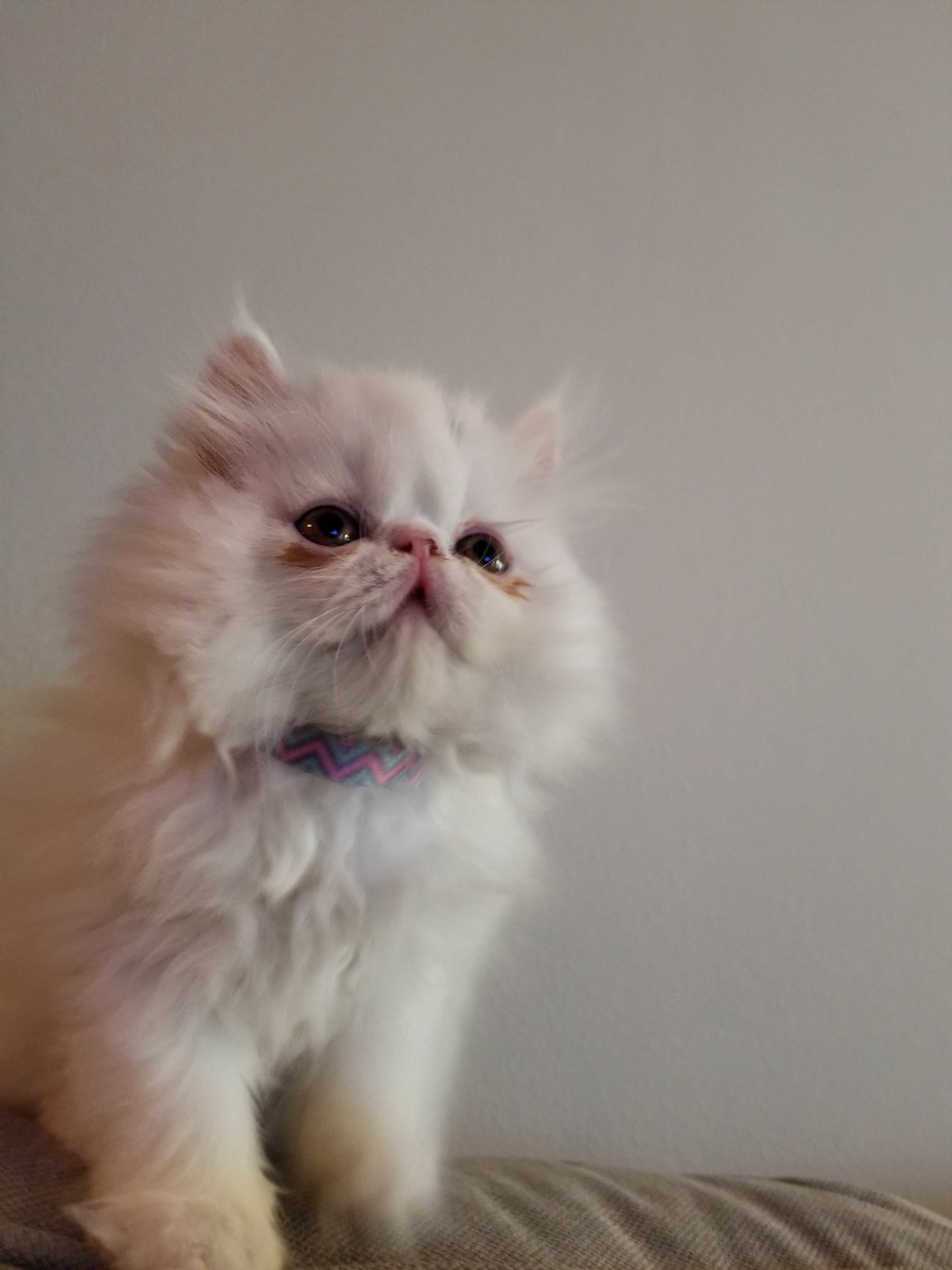 She Was Looking at a Balloon String When I Took This