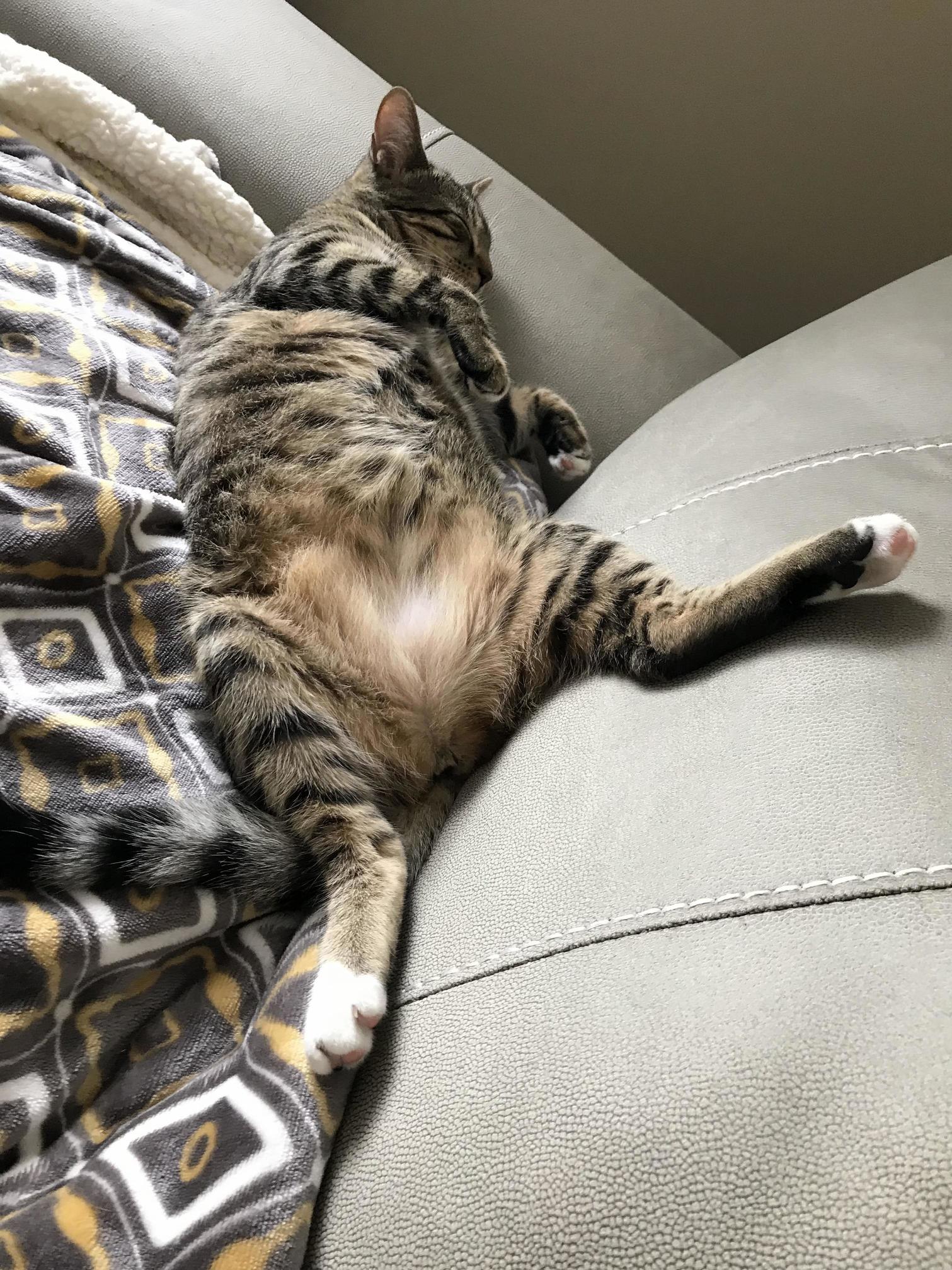 Shes Such a Derp, but Shes My Derp