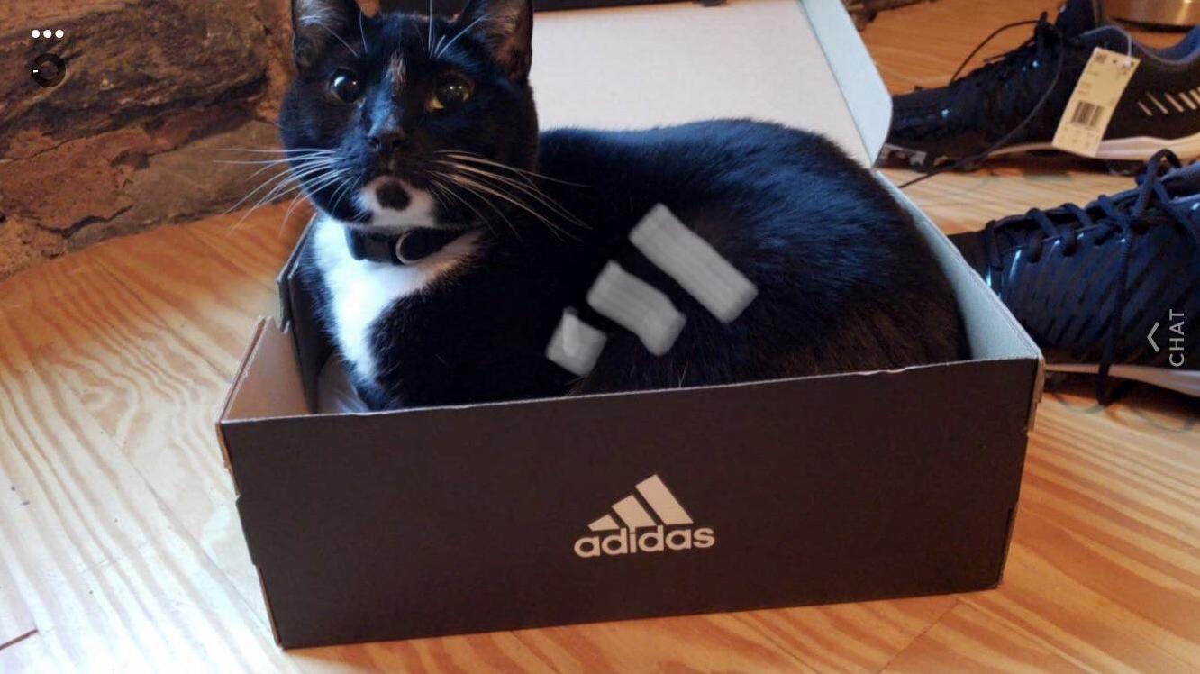 Sporty Dude