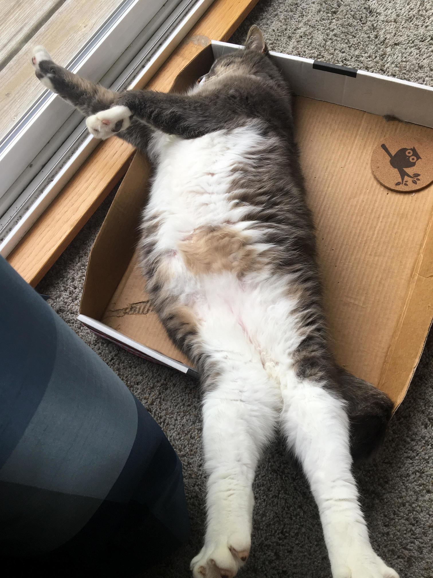 Stretch!