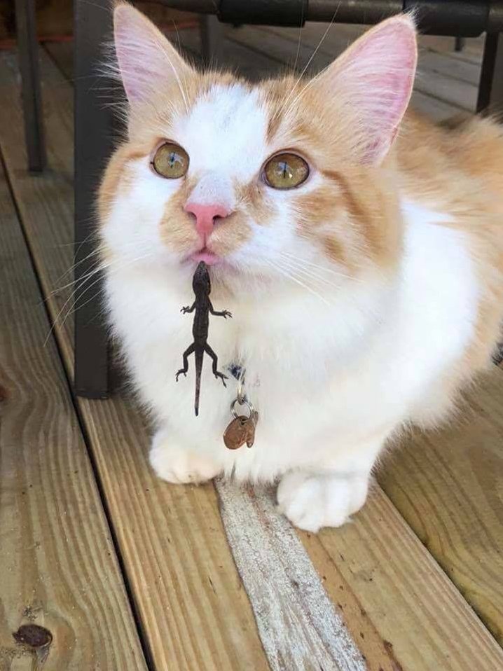 Thats an Interesting... Piercing