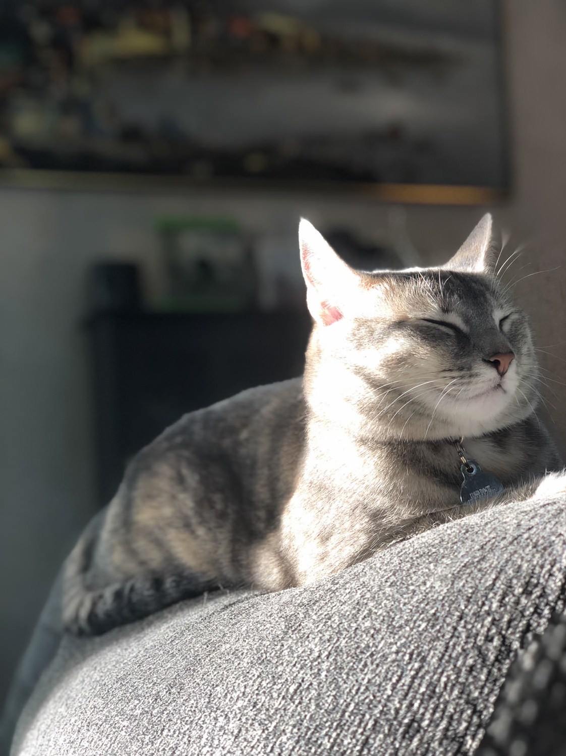 The Holy Loaf!