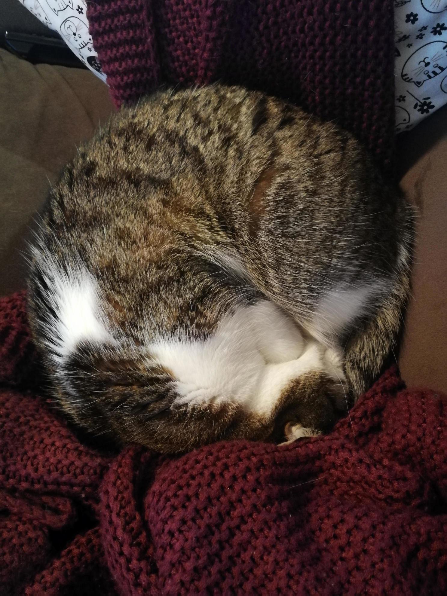 The Perfect Circle