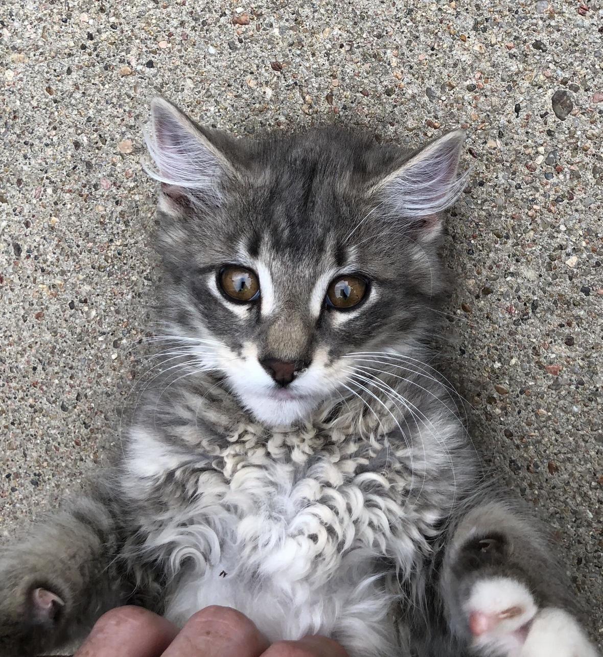 This Dude Is Going to Be a Heart Breaker