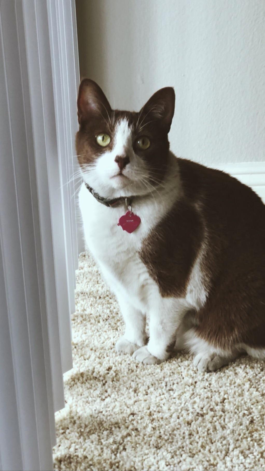 This Is Our Girl, Peeps