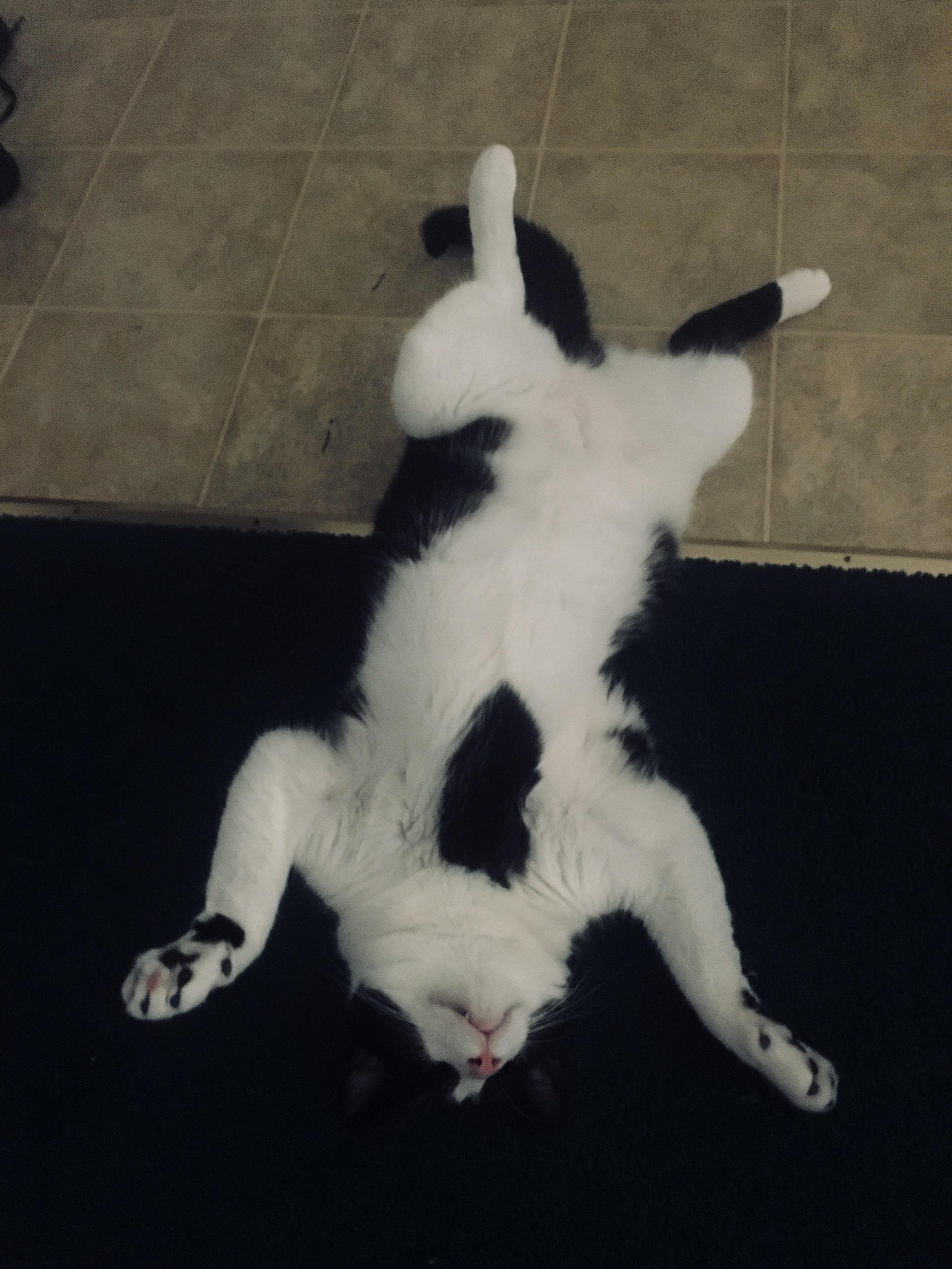 Tom Cruise Being Totally Over the Summer Heat.