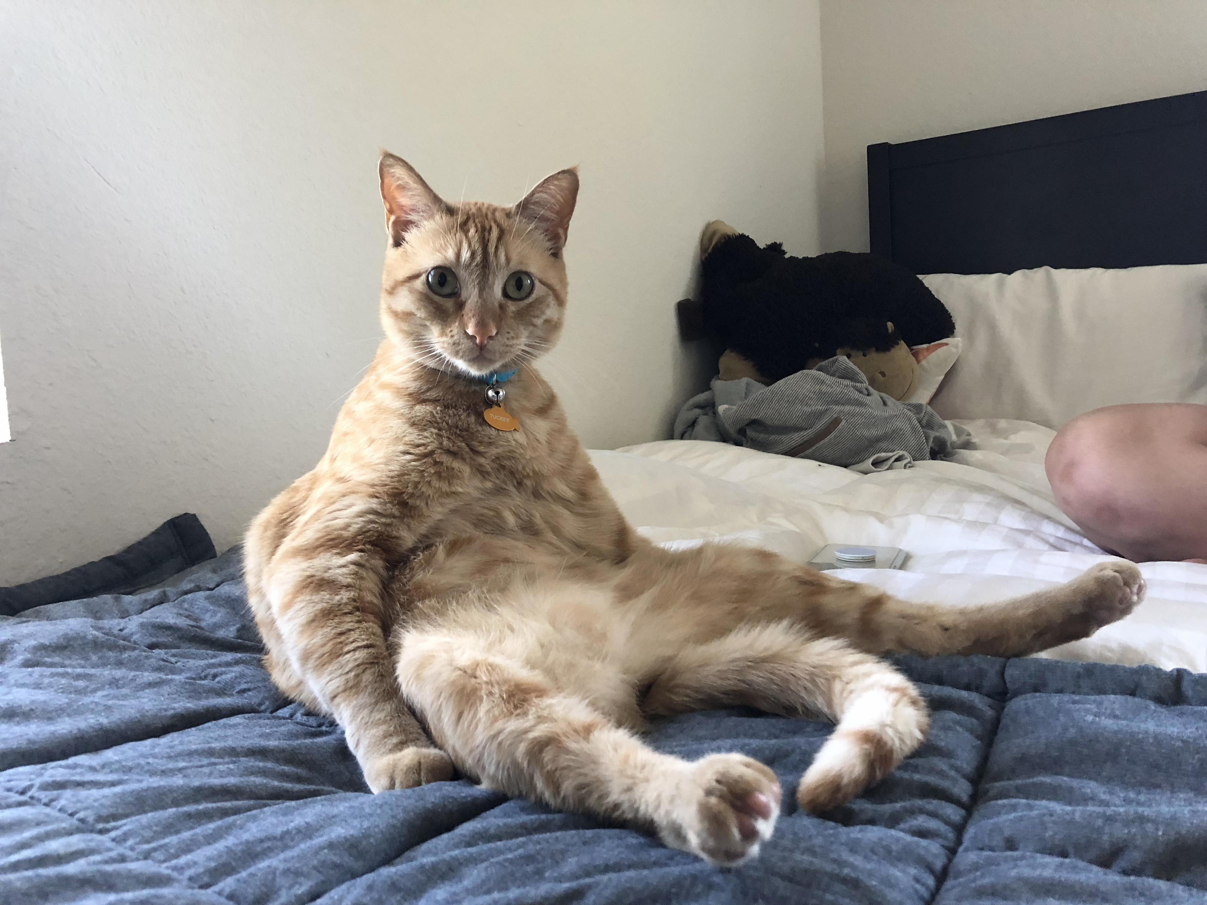 Tuckers Chillin Position