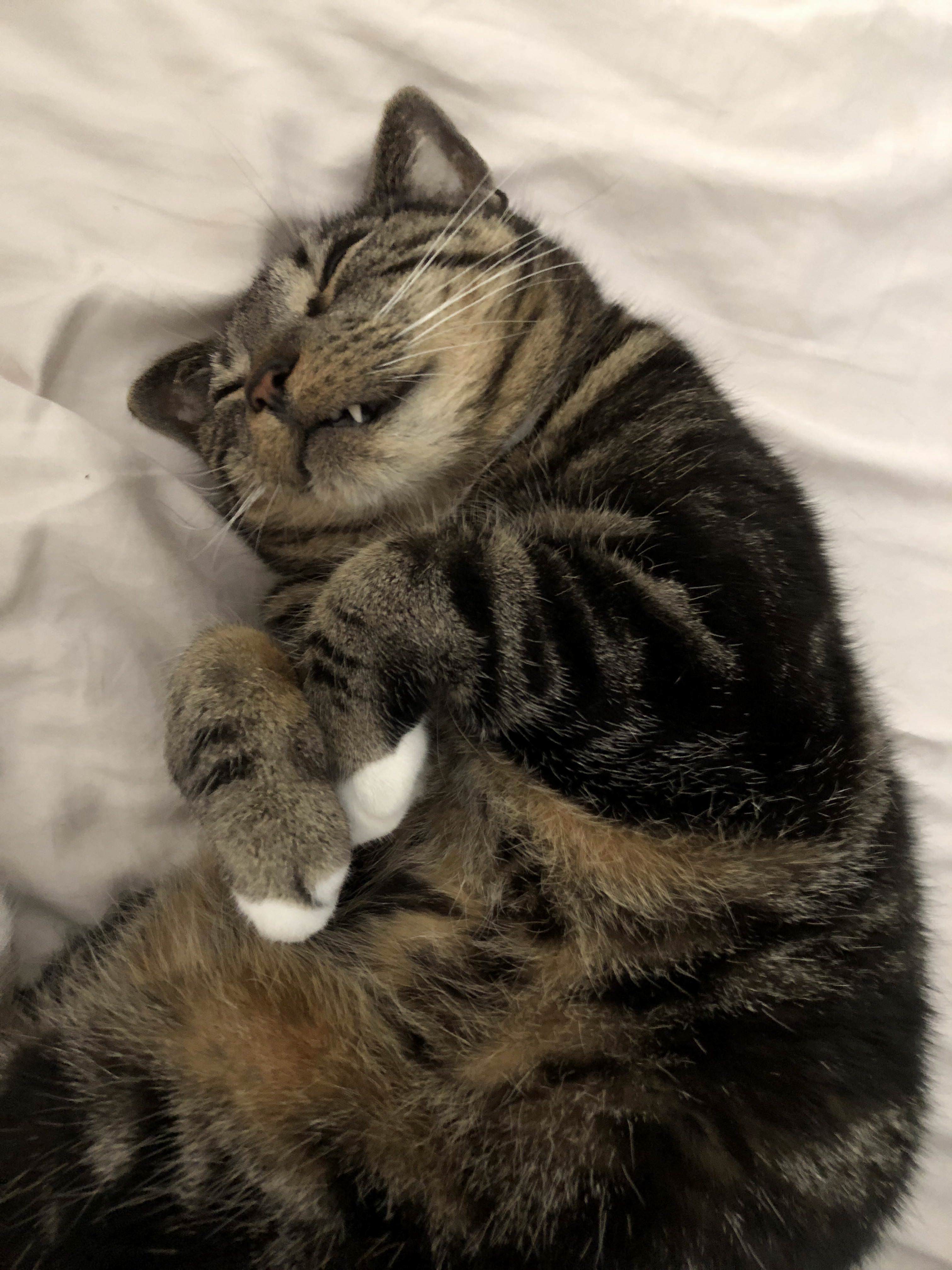 Up All Night, Ready to Sleep Now