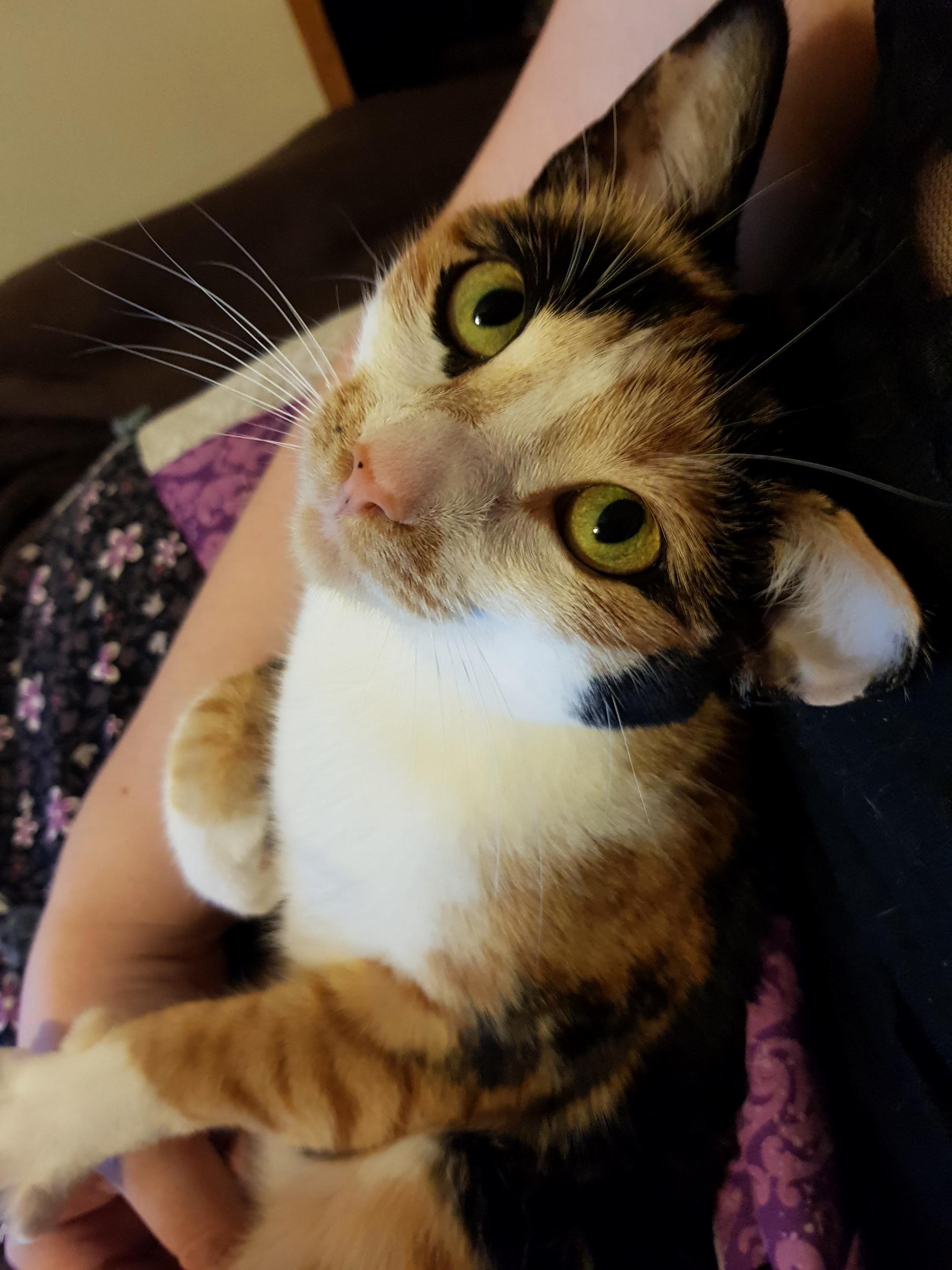 We All Deserve to Be Looked at Like This.