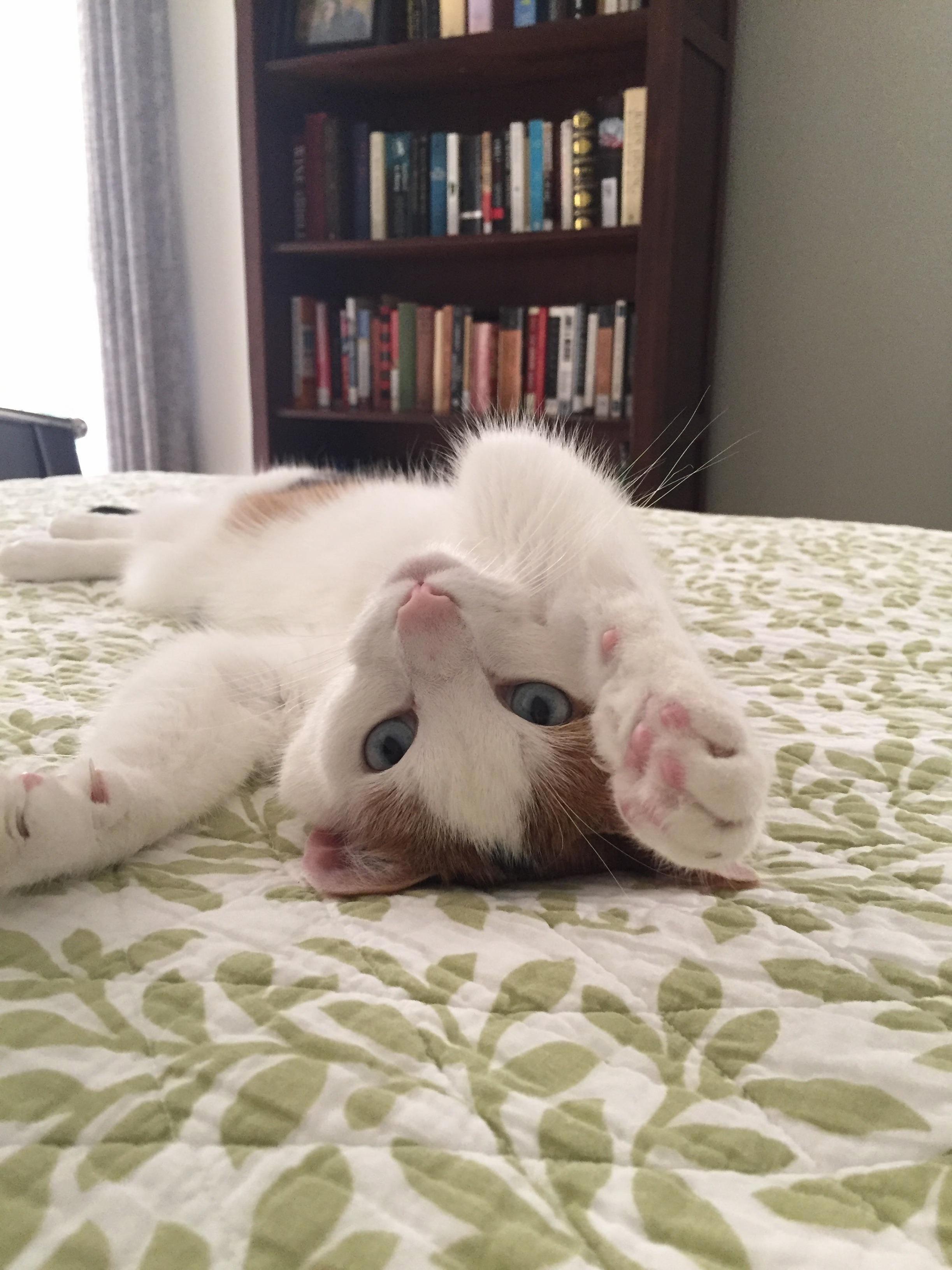 What Do You Mean This Isnt My Bed