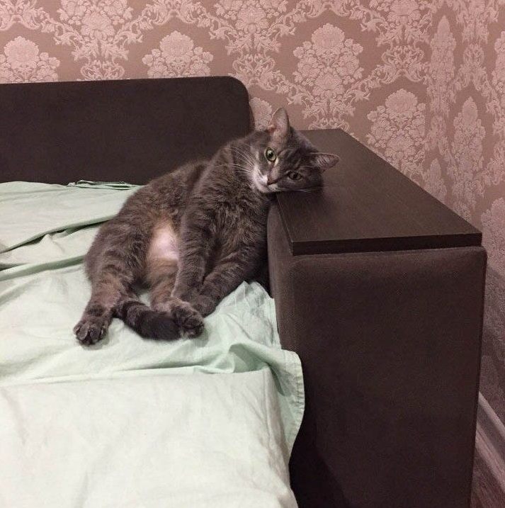 Whats the Meaning of Life
