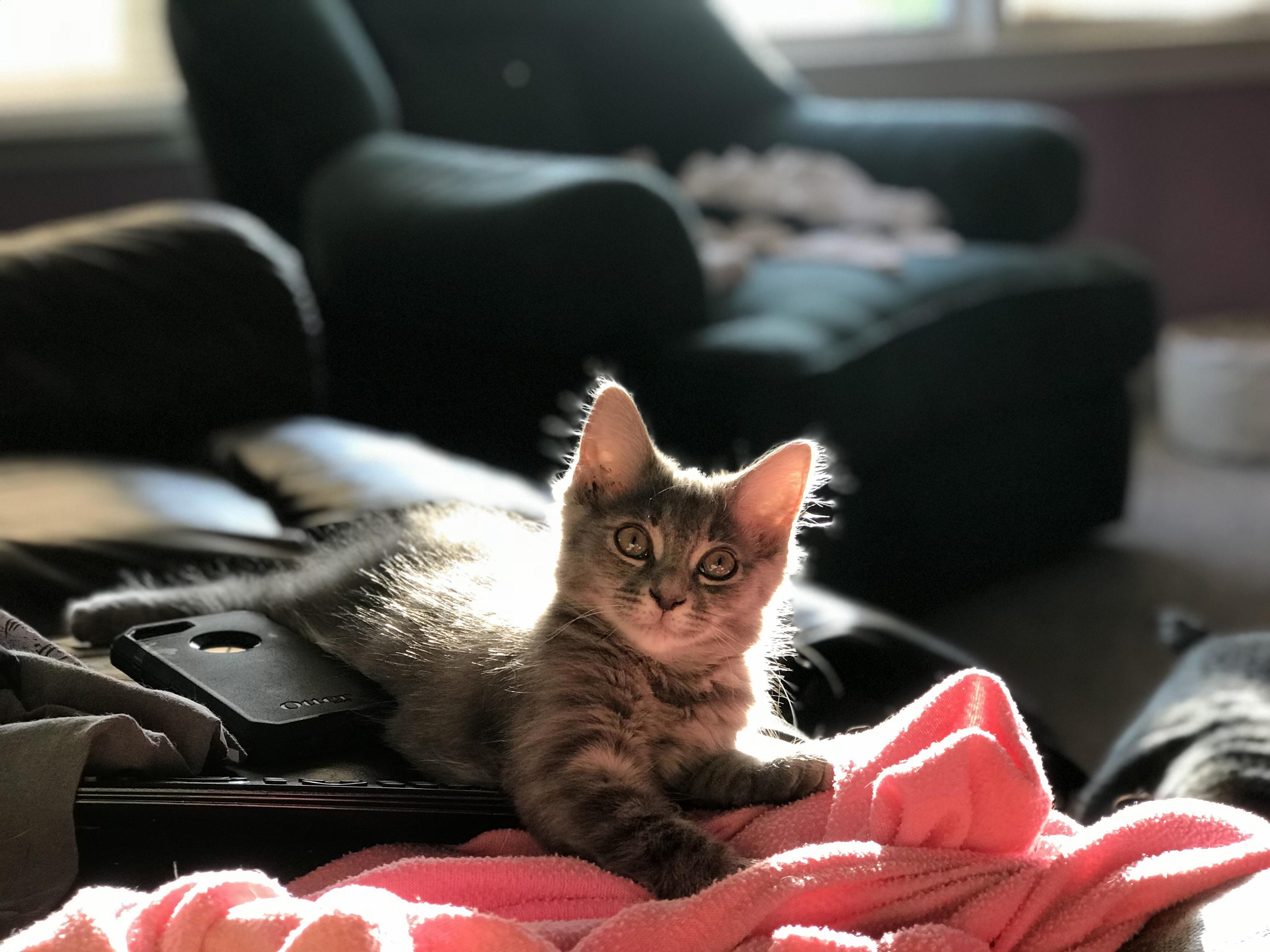 When the Sun Is Hitting Your Head Just Right...