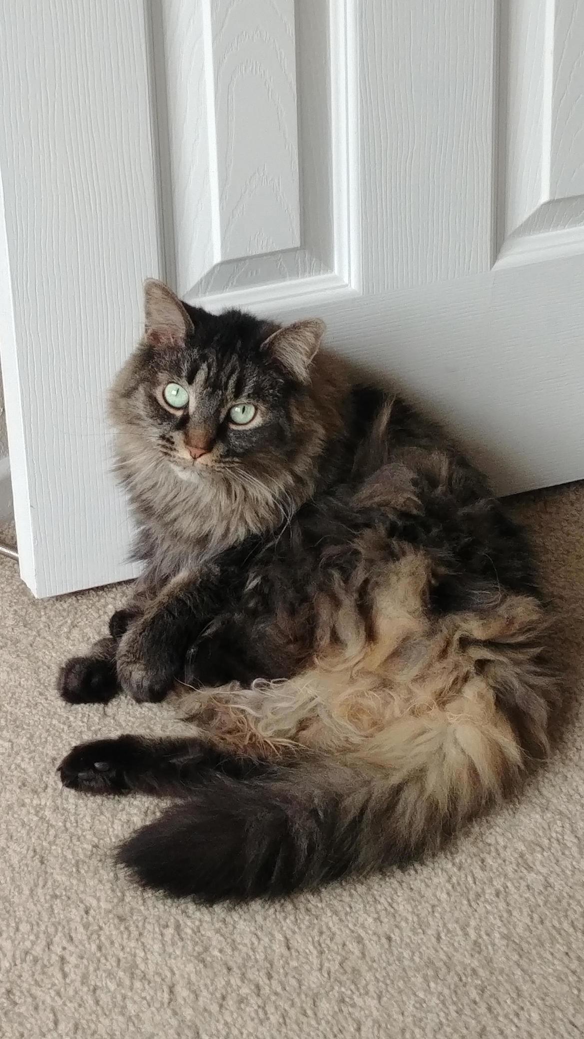 When You Get Caught in a Compromising Position...