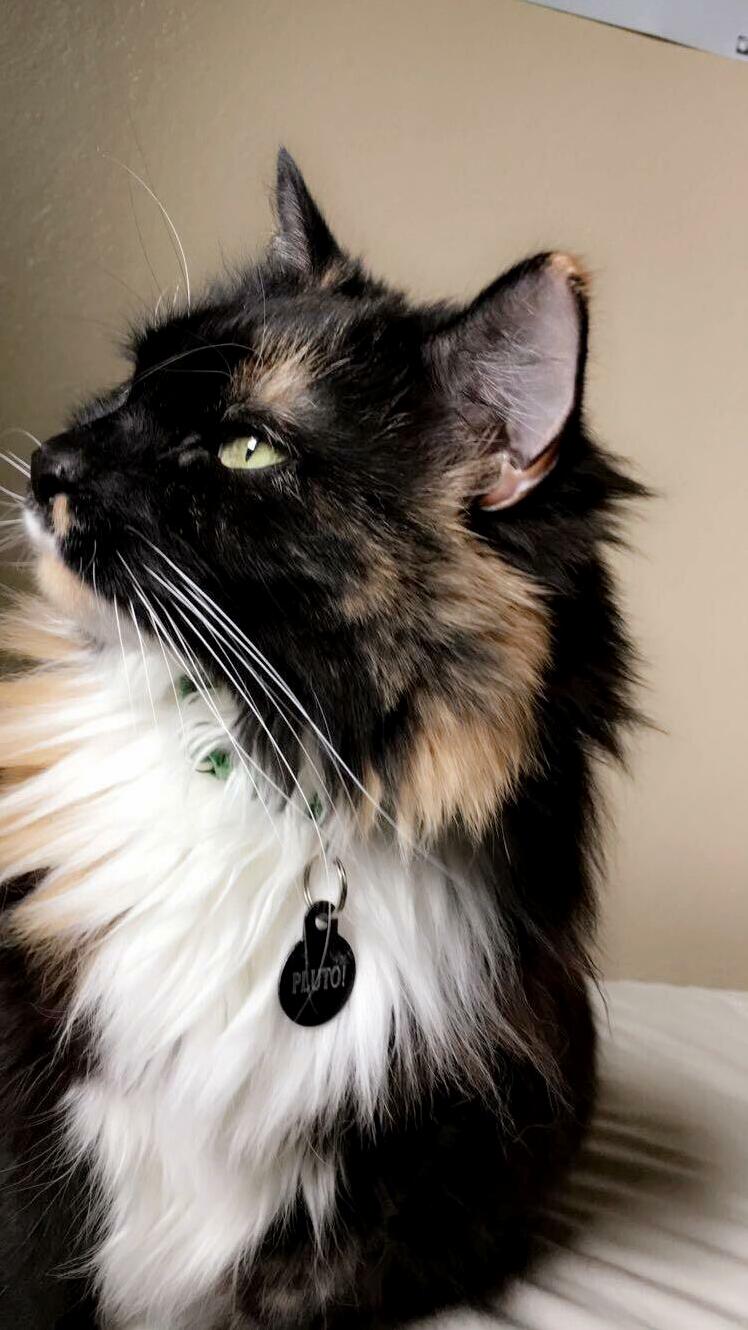 #1 Bff
