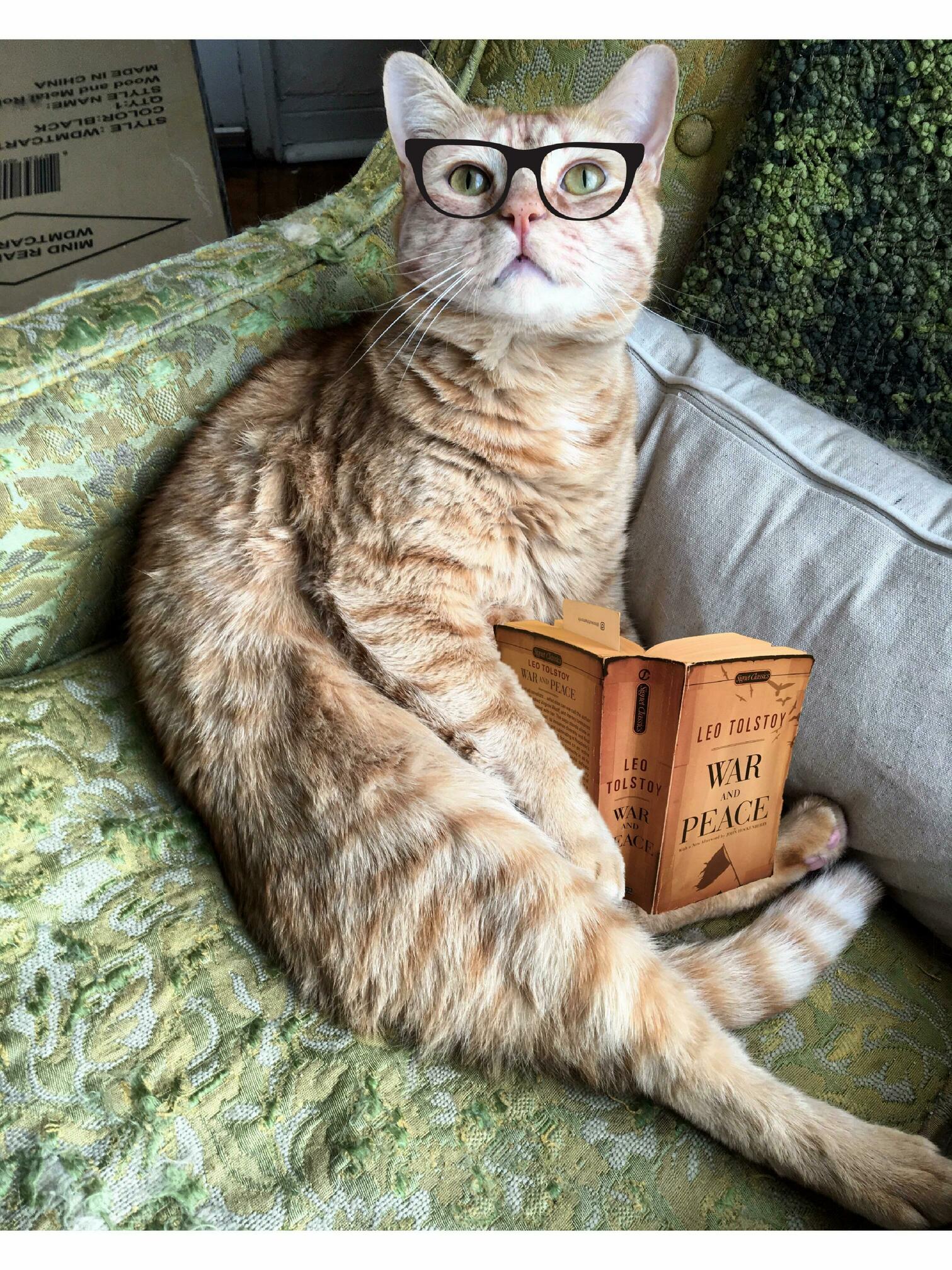 A Polyglot; a Poet