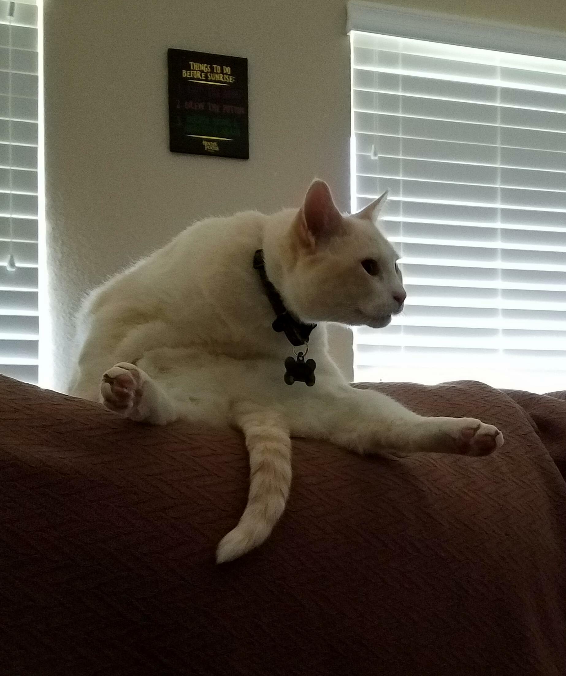 All He Needs Is a Beer.