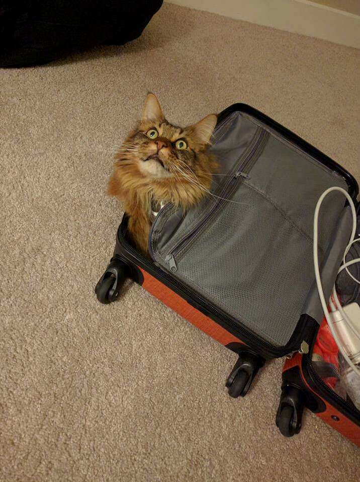All Packed to Go Visit My Family!