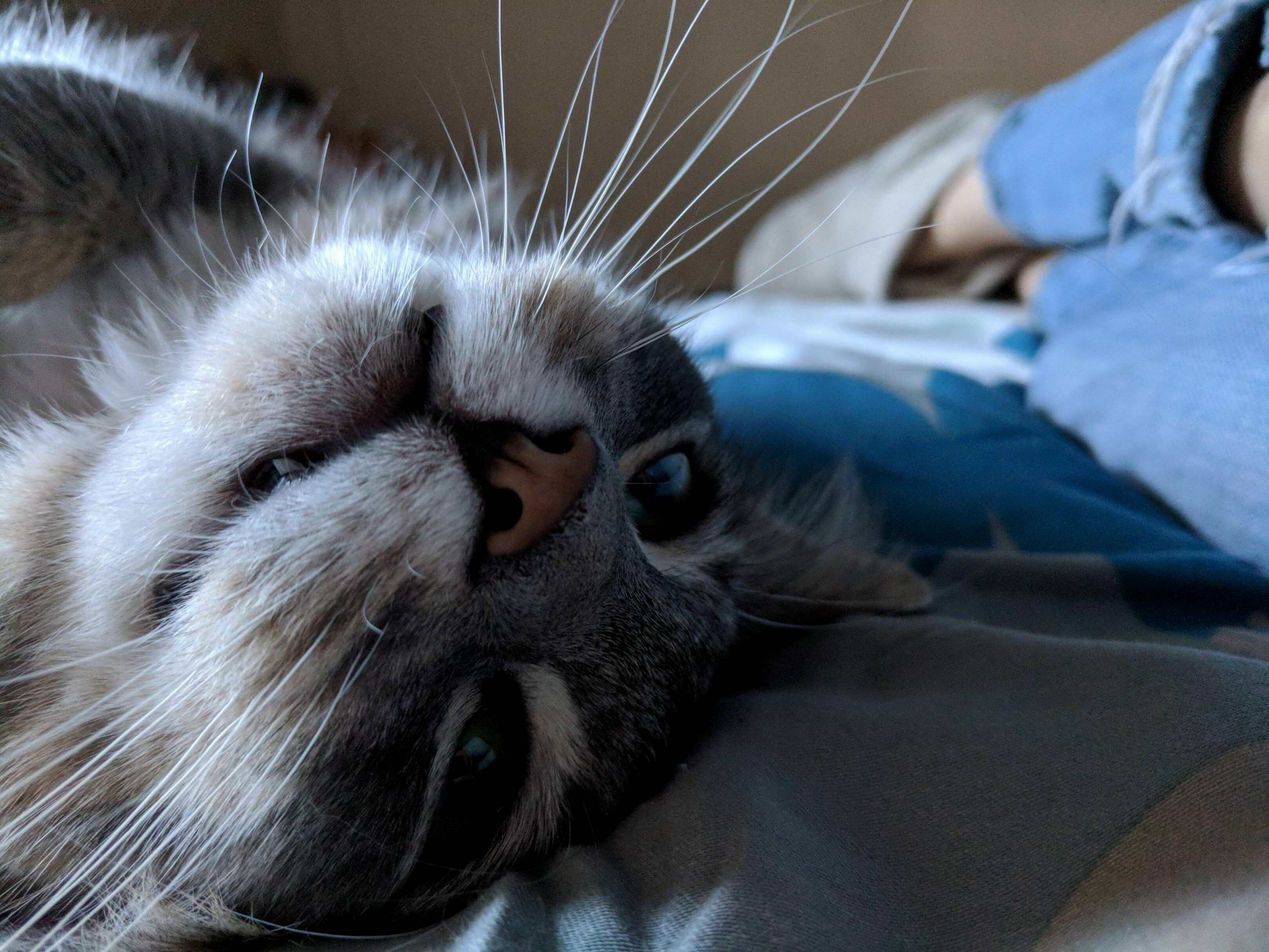 Approximately 10 Seconds Before He Went Crazy.