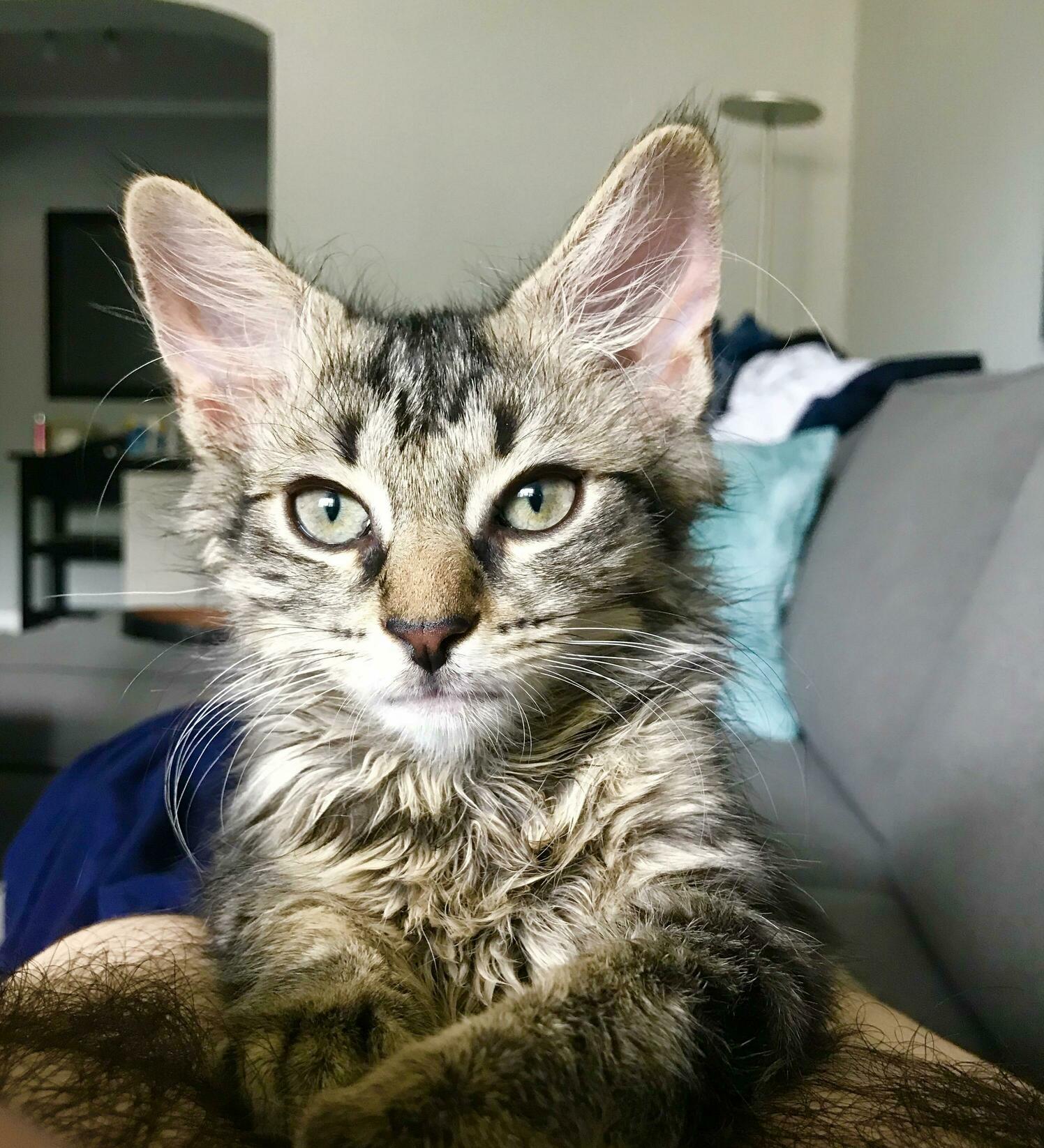 At Only 3 Months, He Already Looks Like an Old Man!