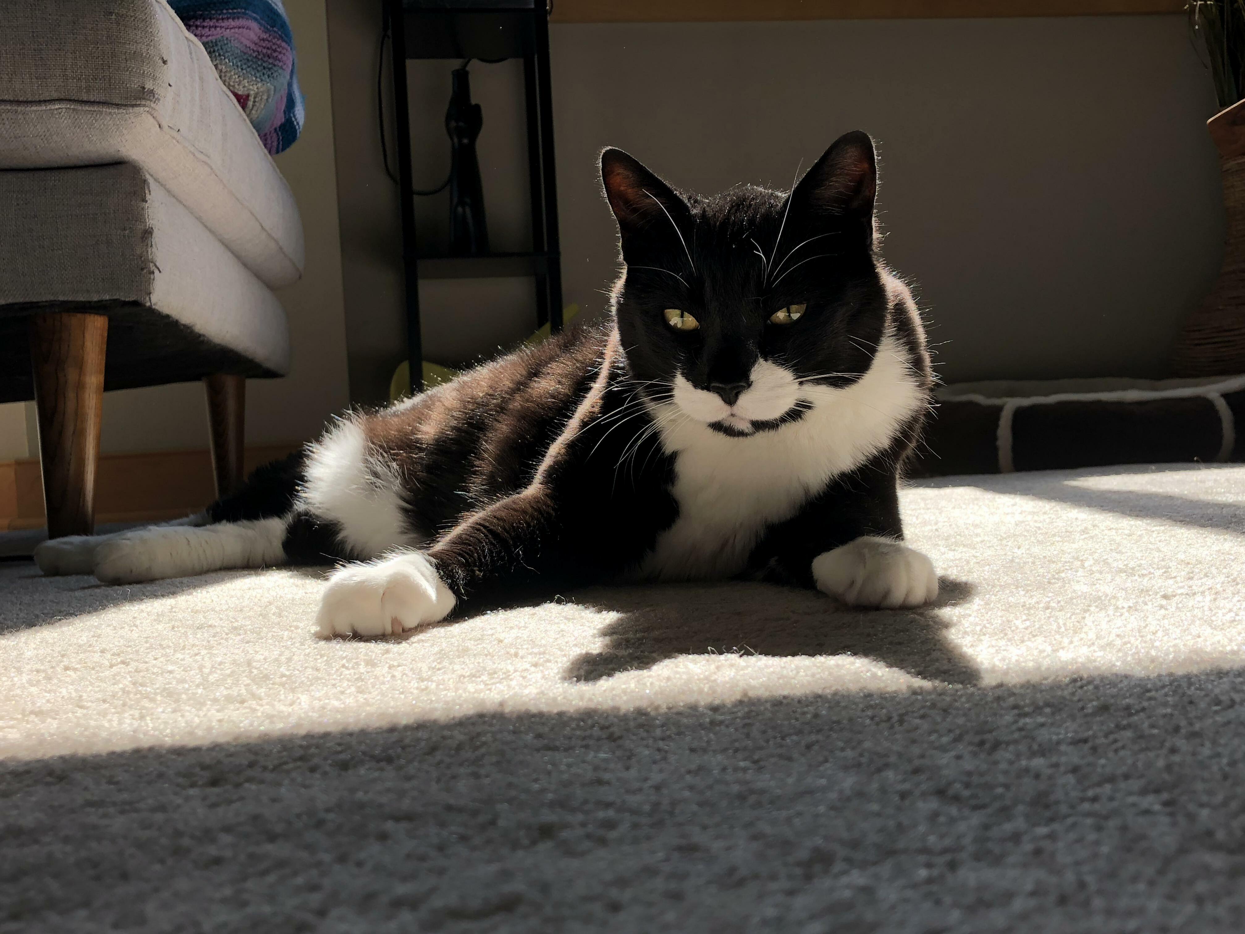 Bathing in the Sunshine