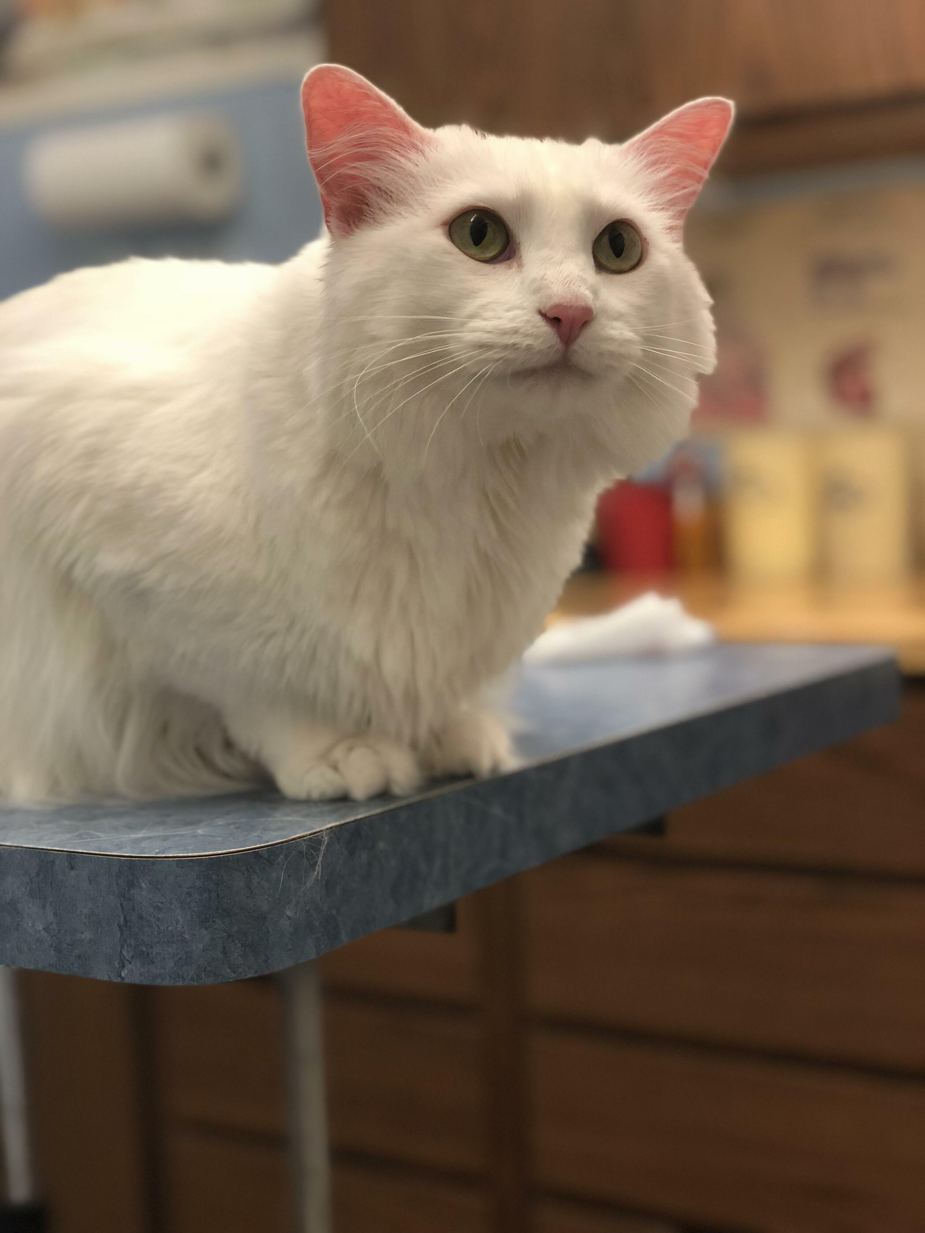 Being Brave for Her Check-up