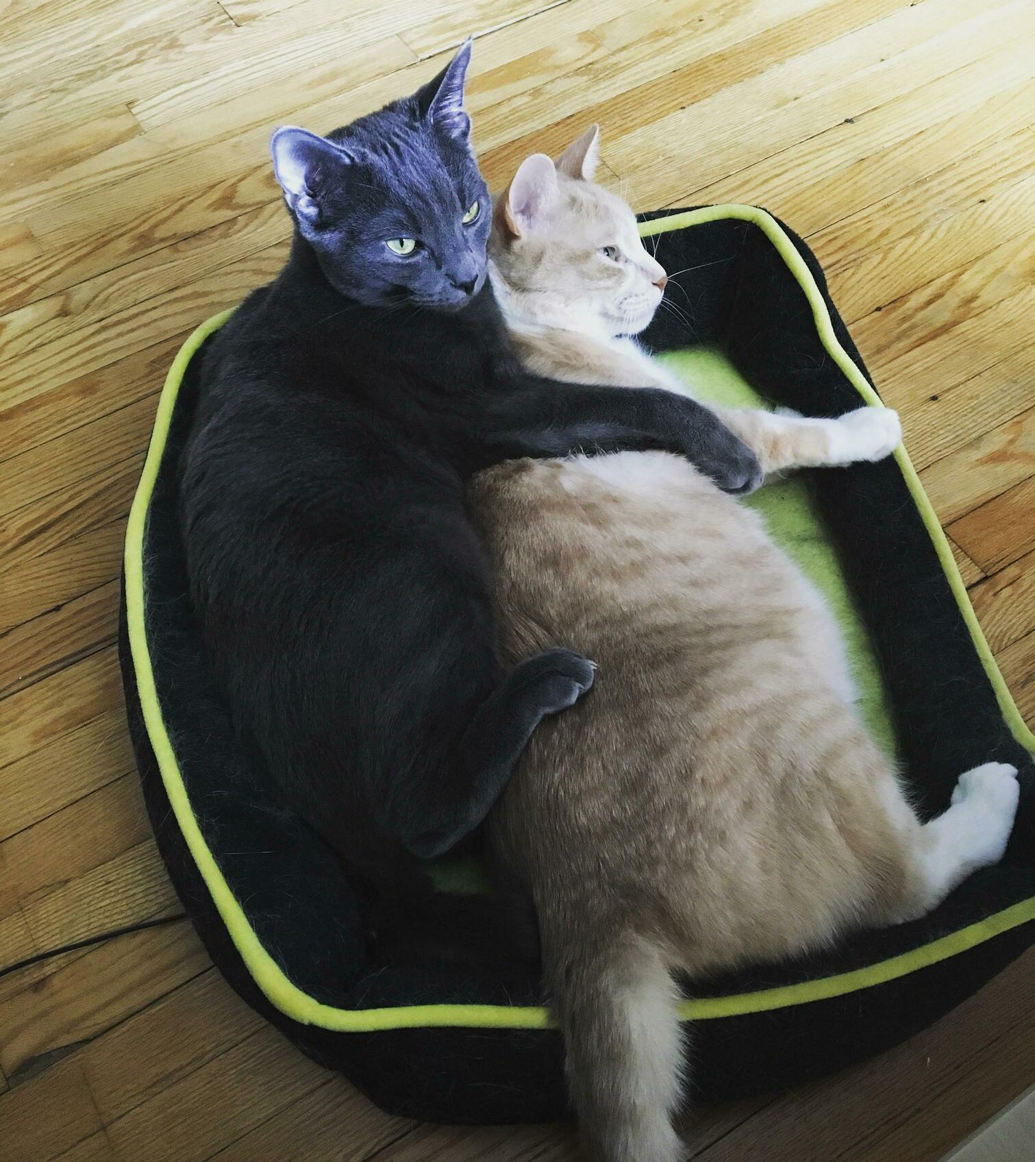 Bestest Buds of Life!