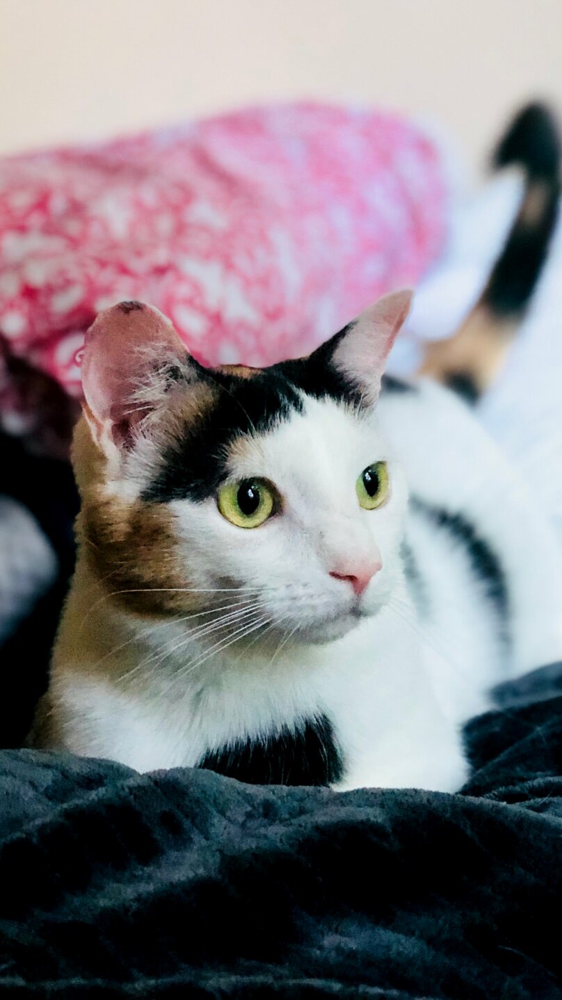 Calm and Alert at the Same Time