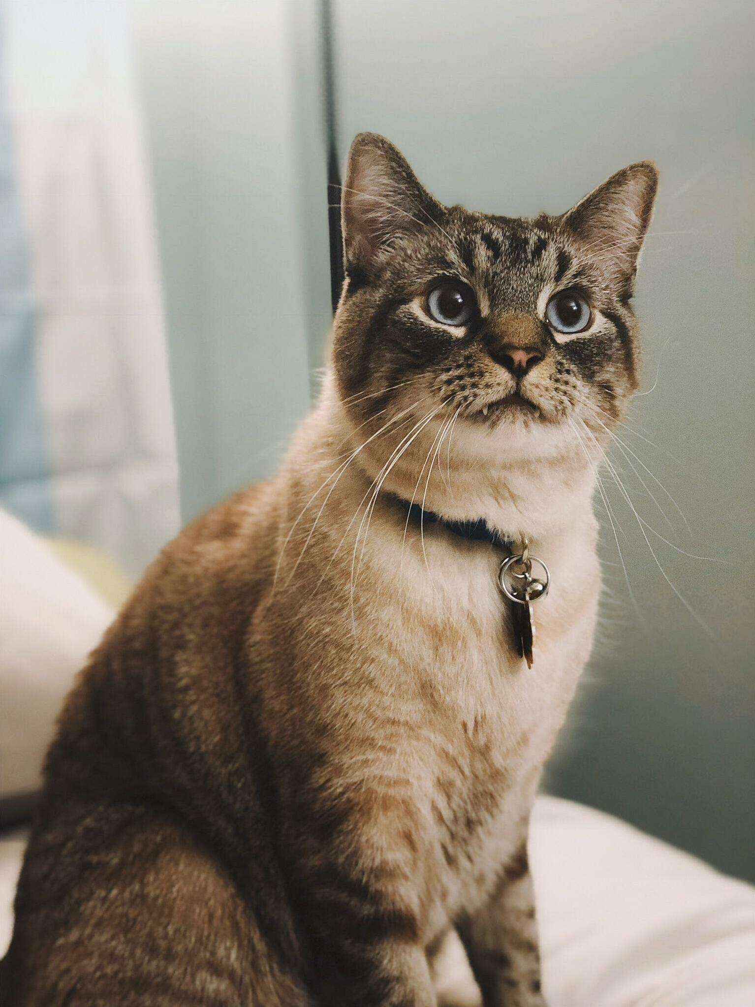 Charlie Sitting Up