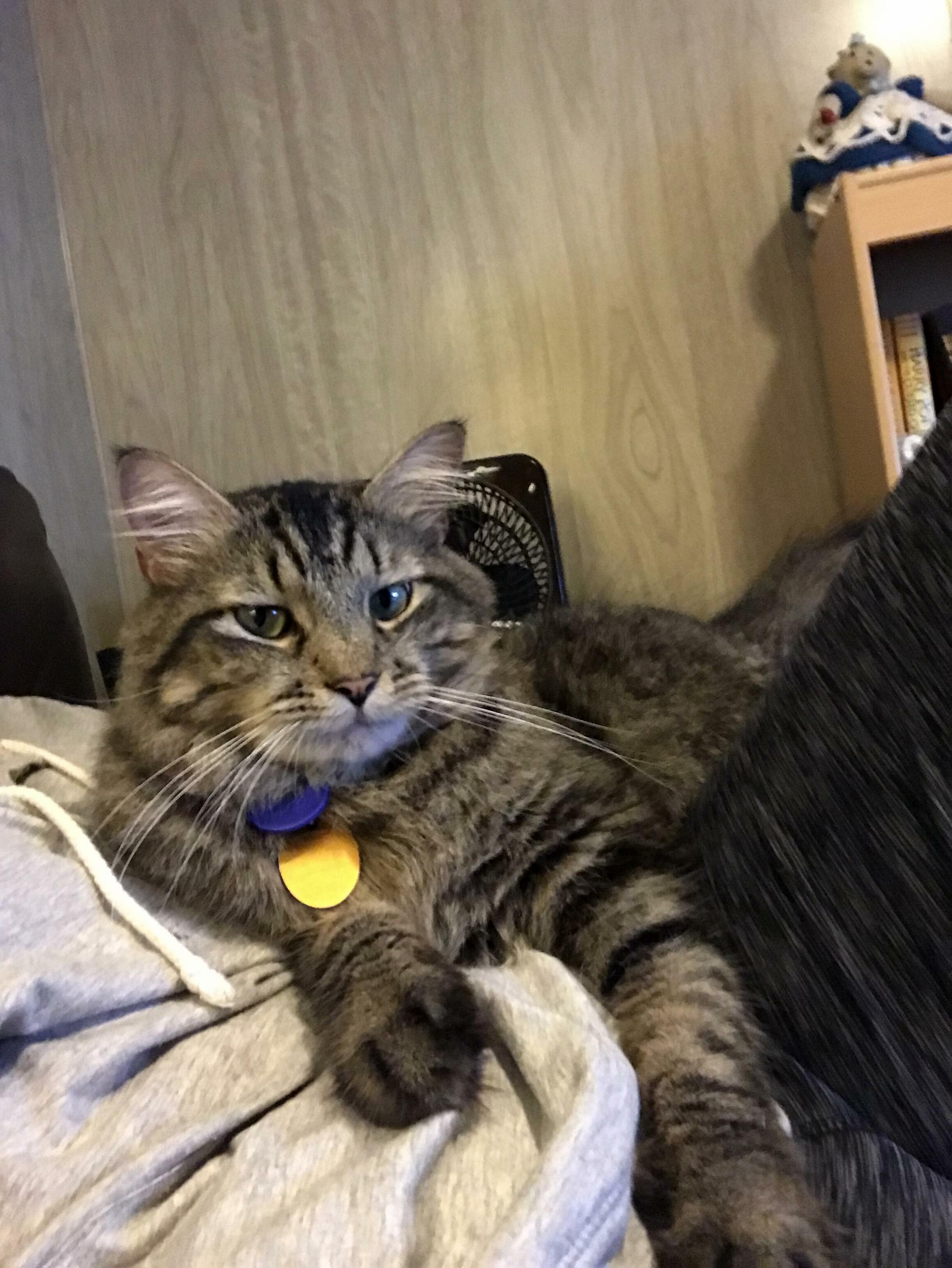 Cuddles from the Handsomest Guy I Know