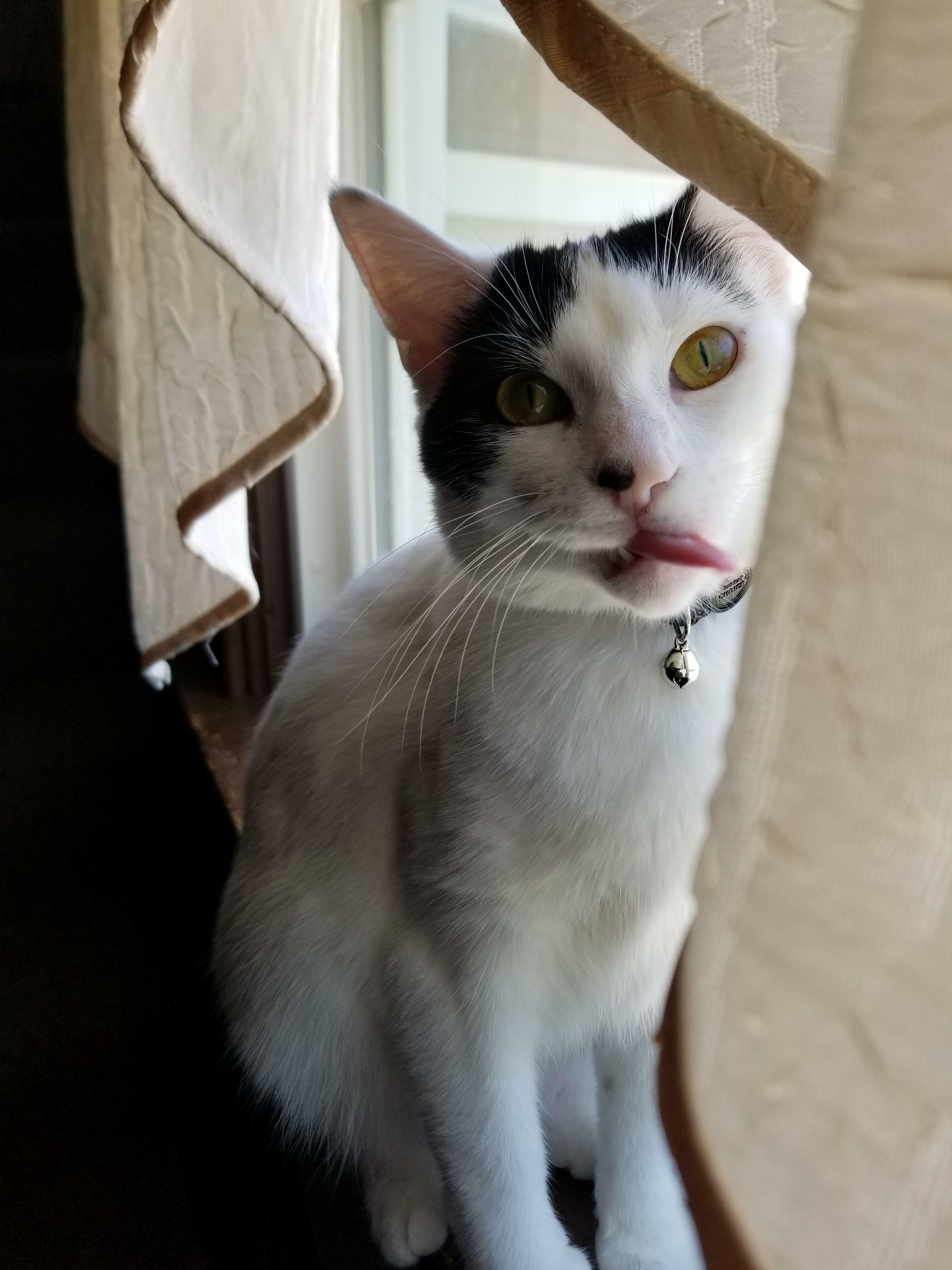 Derp!