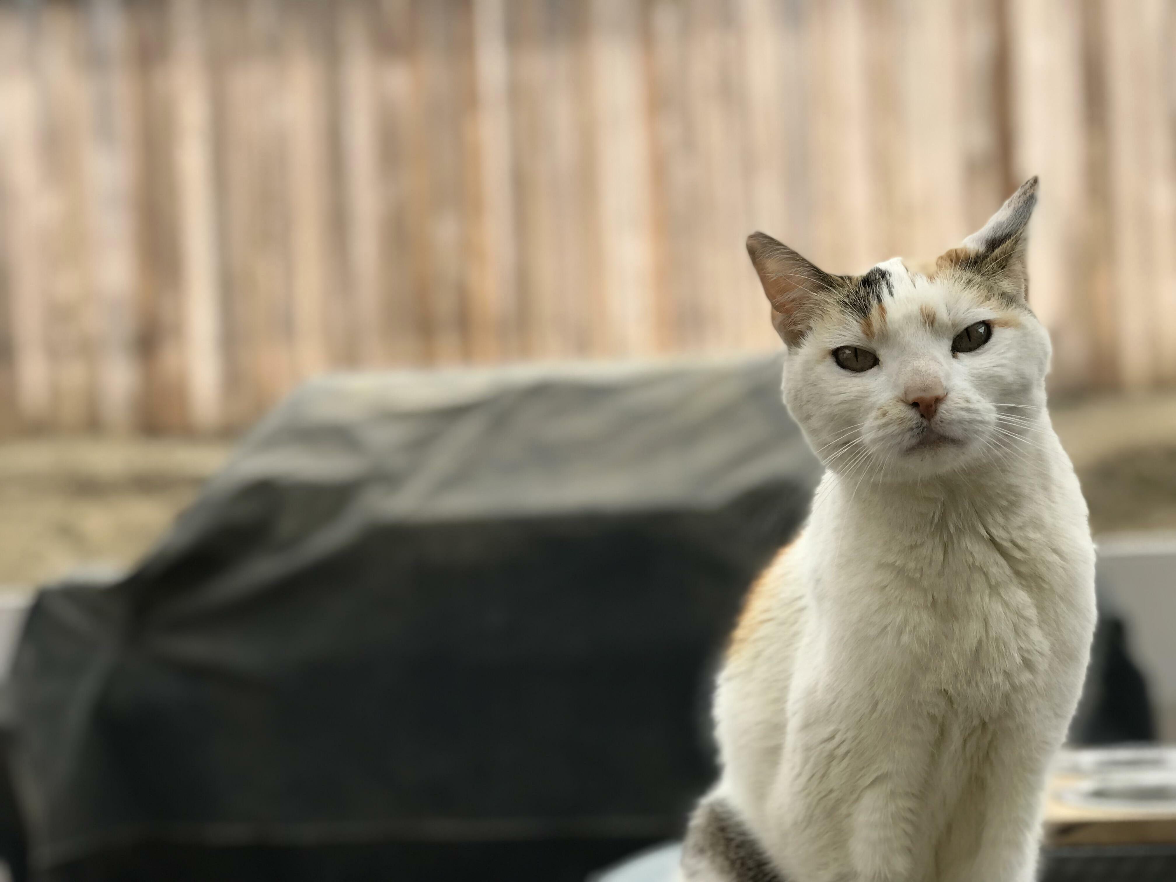 Dottie May, 15yo