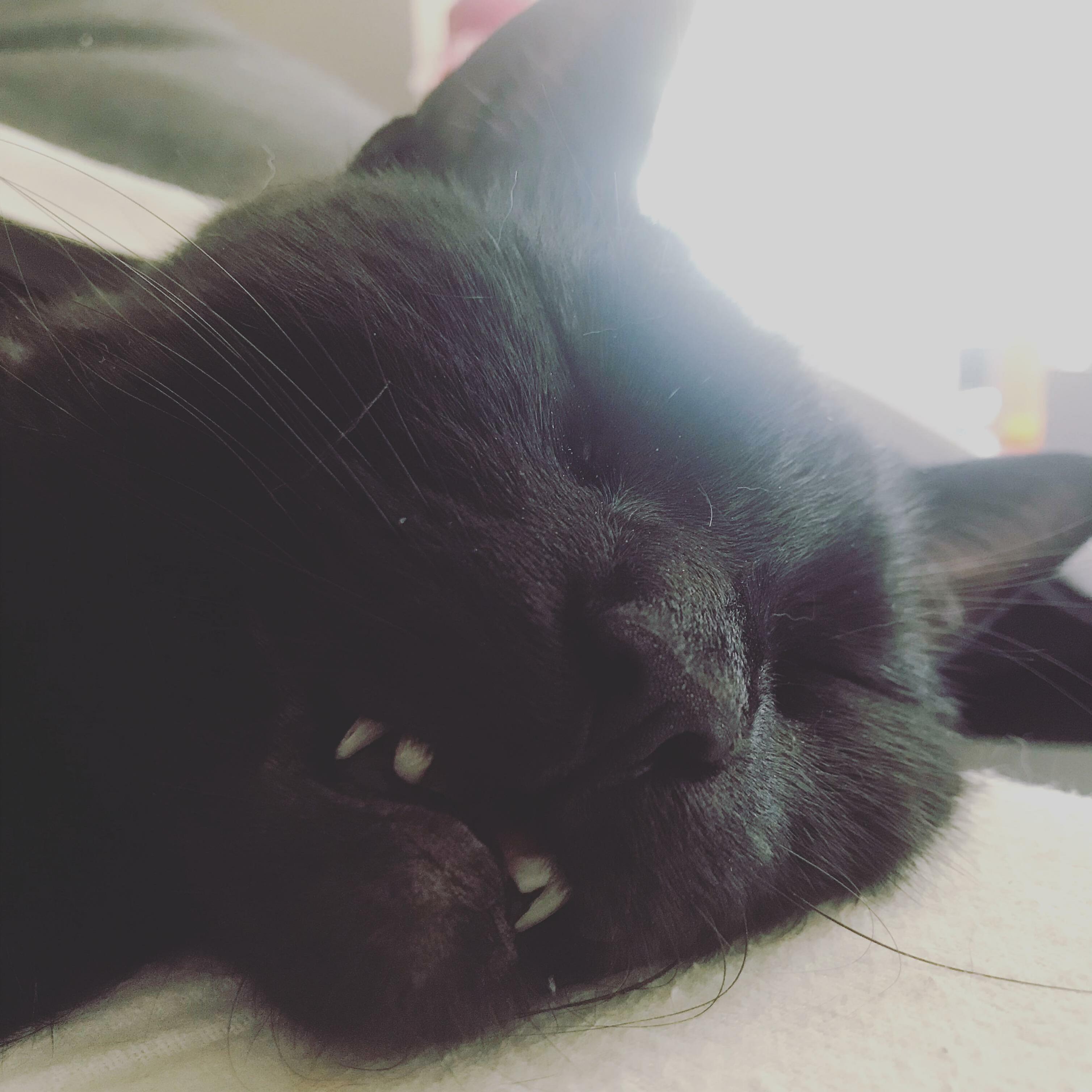 End of the Weekend.