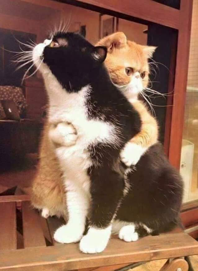 Every Little Thing Is Gonna Be Alright!