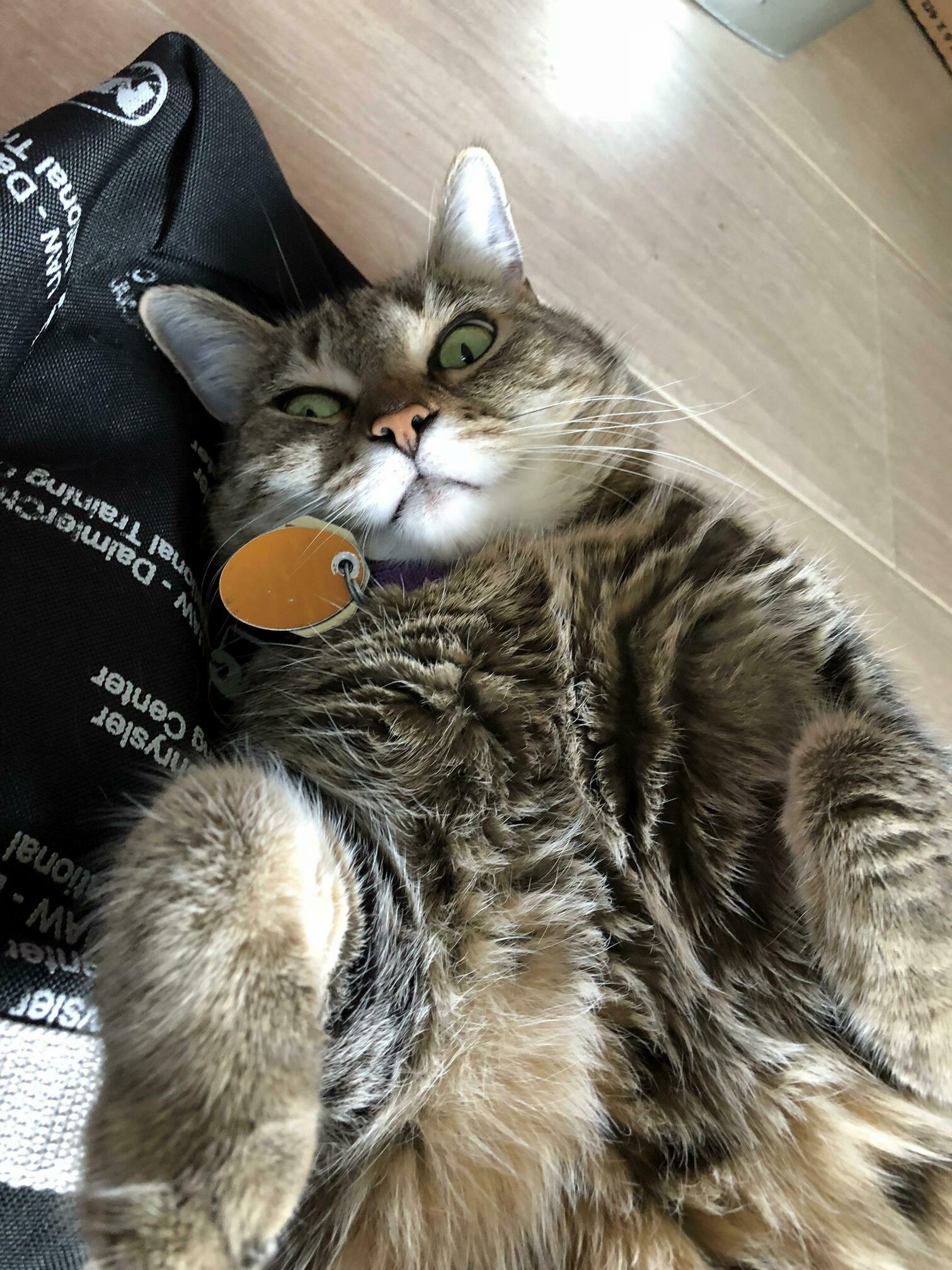Face Only a Mother Could Love. and I Do Love Her.