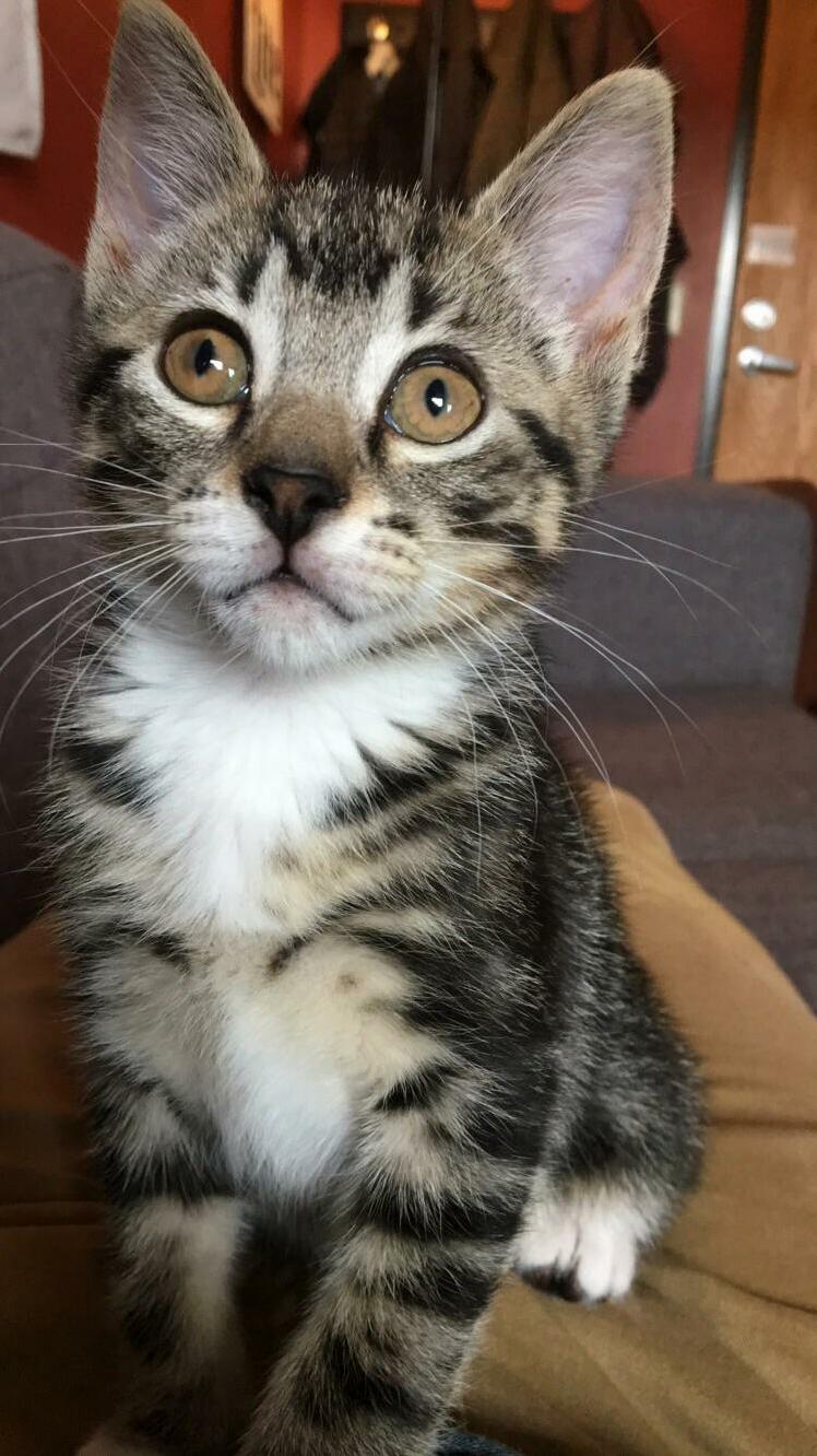 Finally Sat Still for Two Seconds
