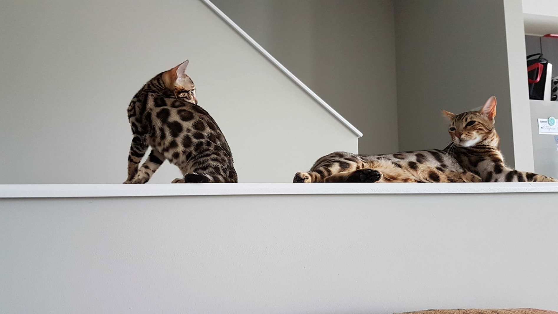 First Day Together!
