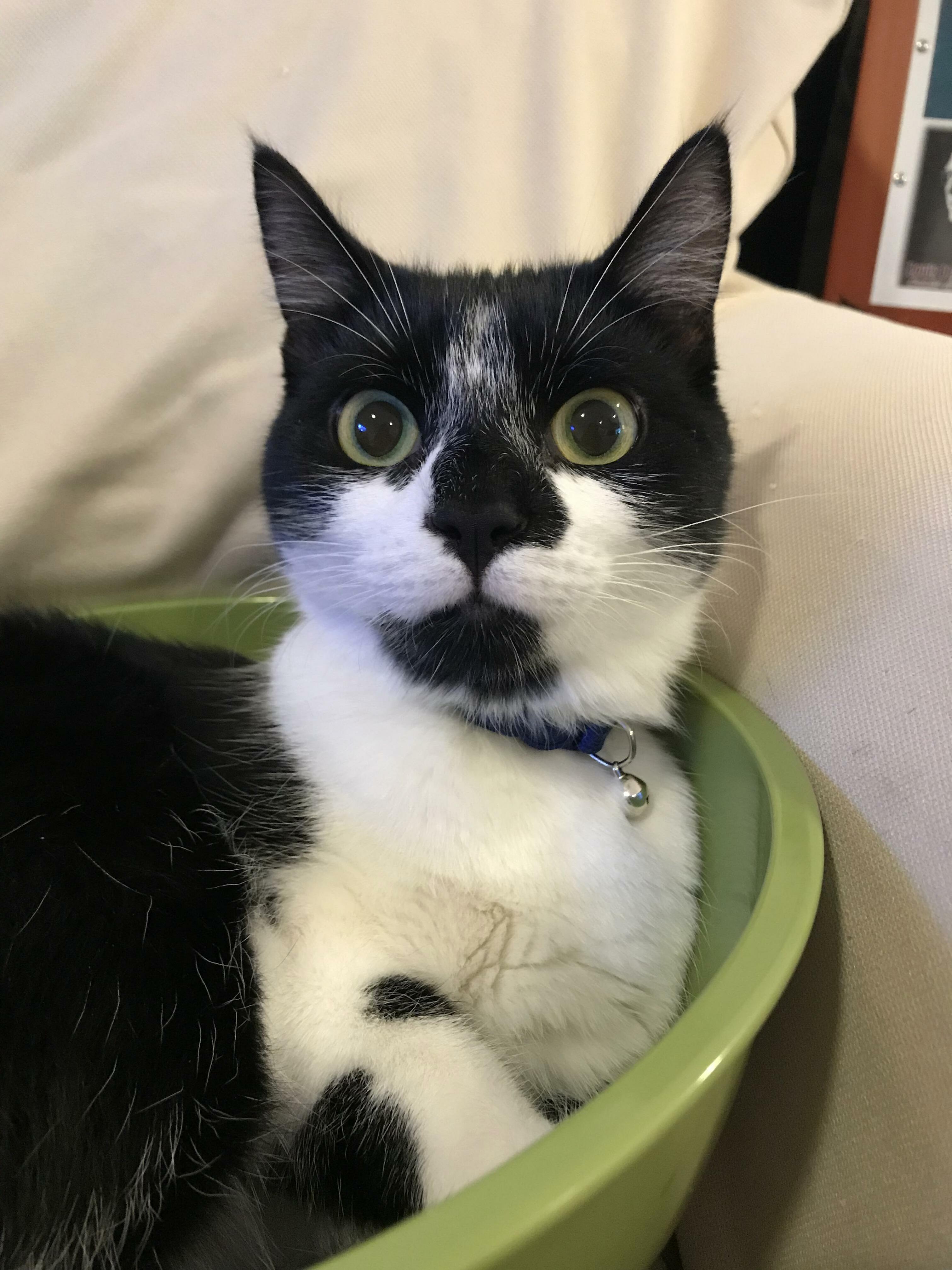 Found His Favorite Place