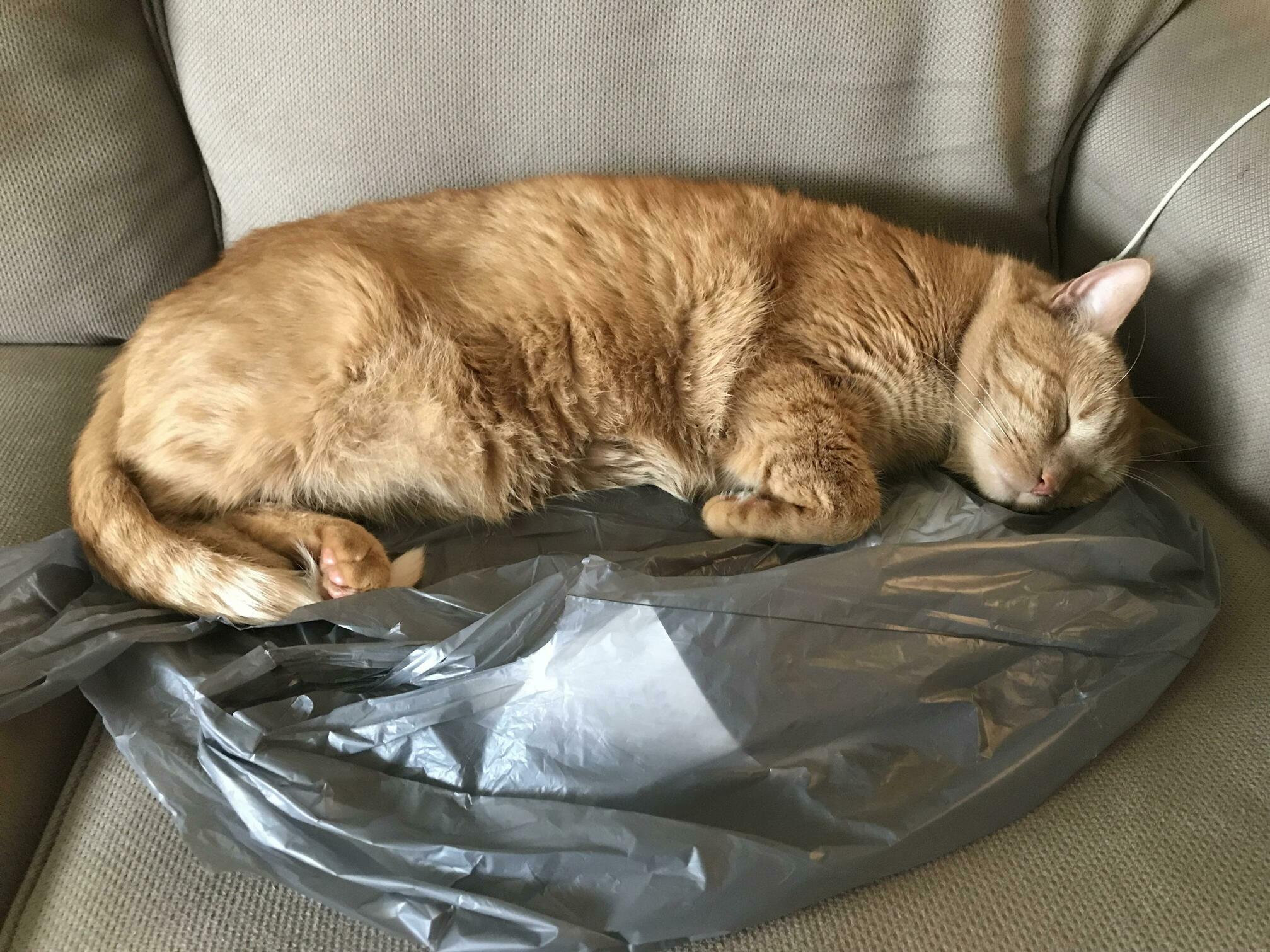Franklin Sleepswithbags Hanson