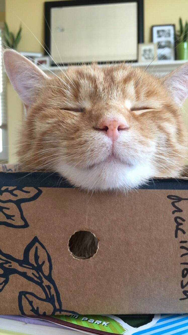 Freckle Boy