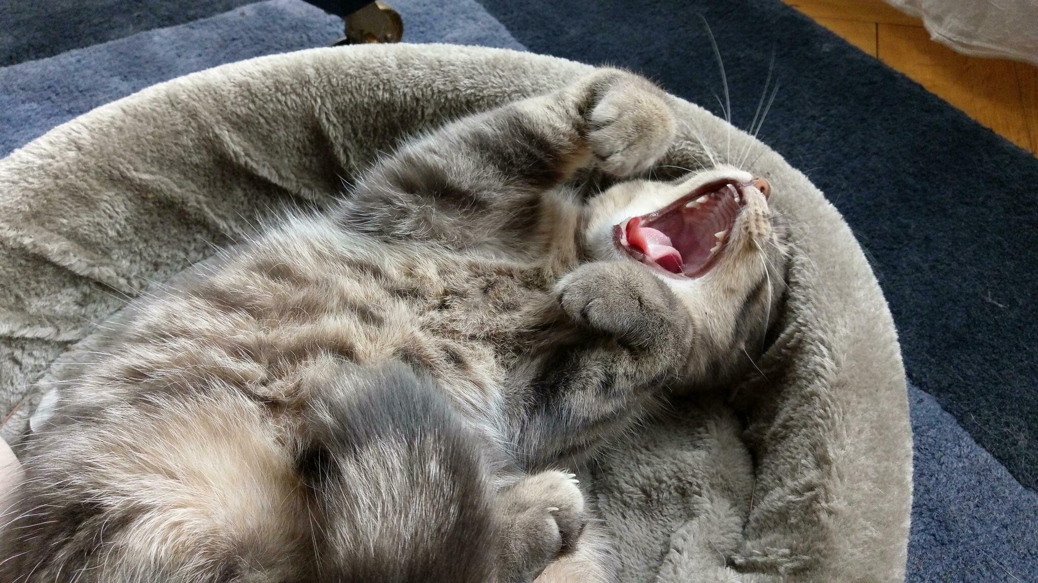 Good Morning, Little One