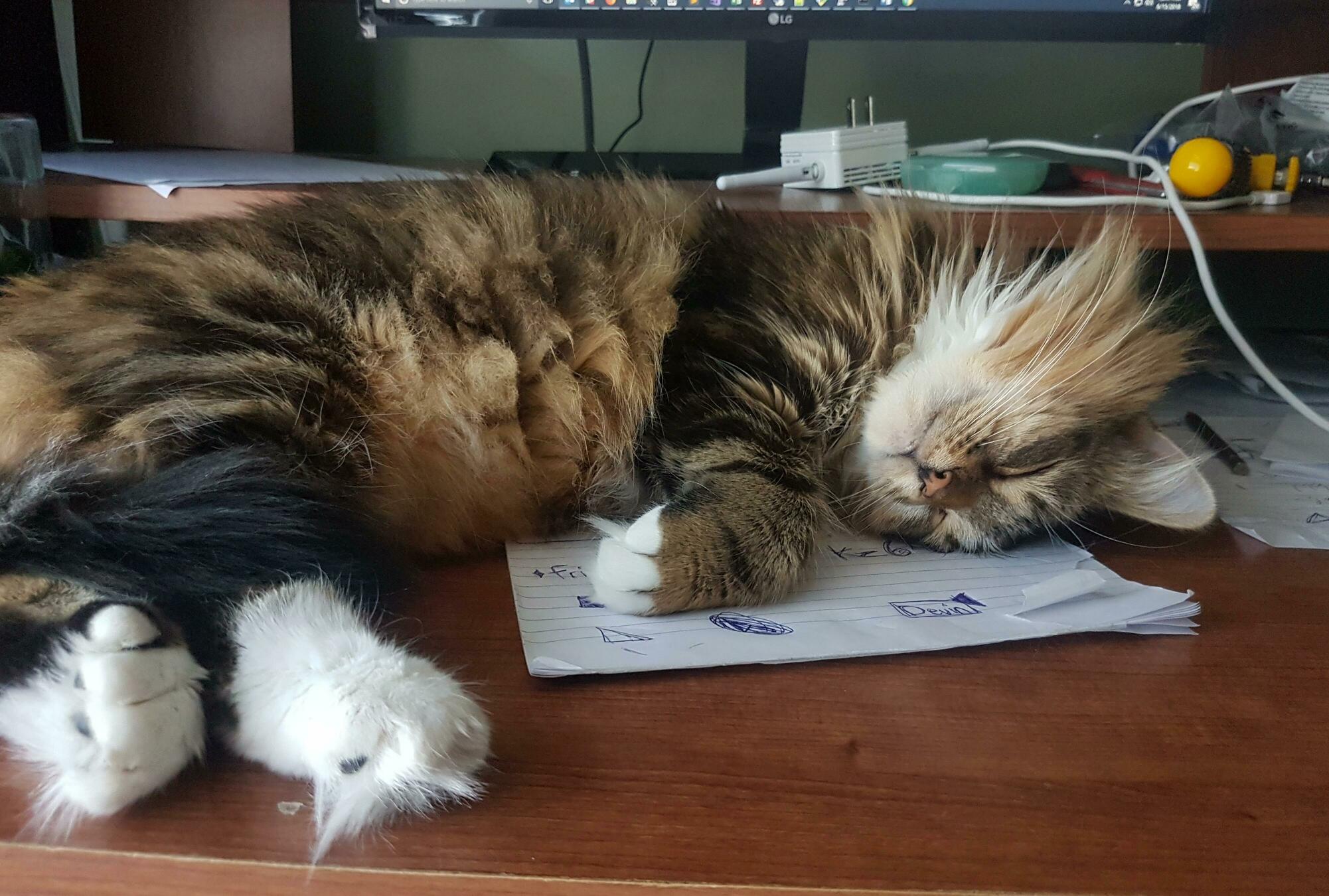 Hard to Be Productive with This Constant Reminder of How Awesome Naps Are.