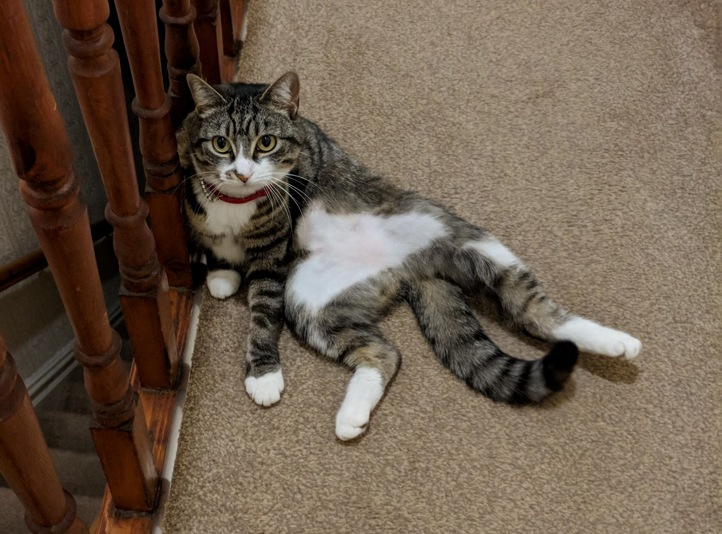 Harriet Sits Funny Sometimes