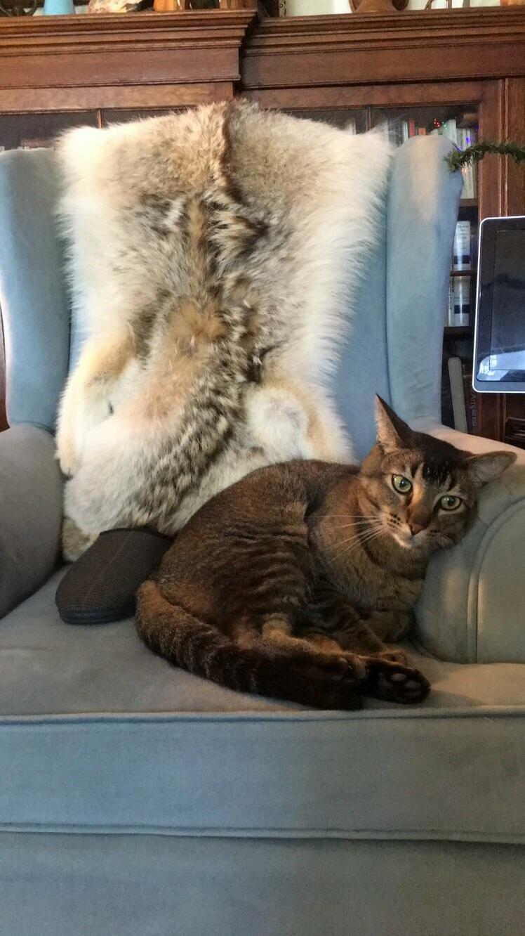He Doesnt Like Mondays Either.