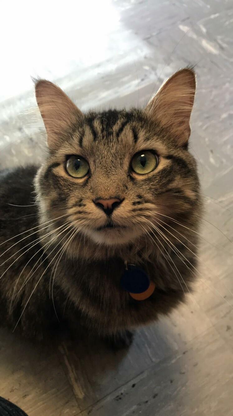 He Has the Sweetest Eyes