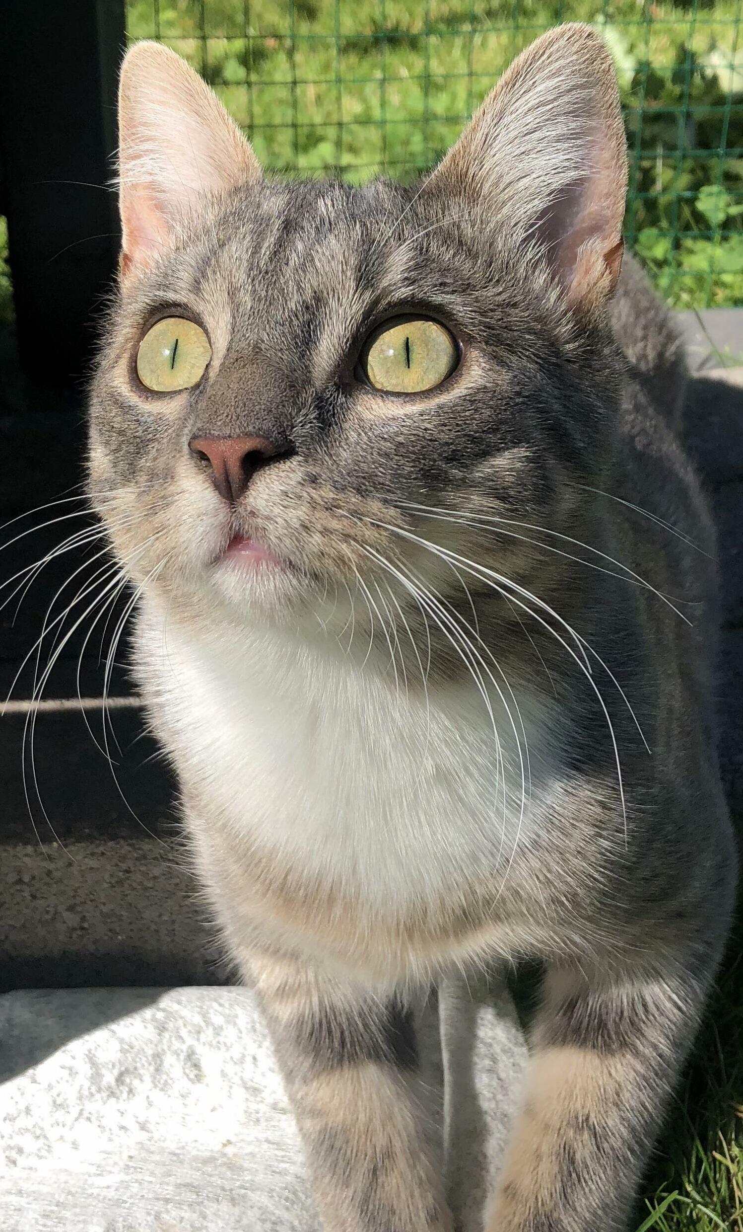 He Sees Something Interesting
