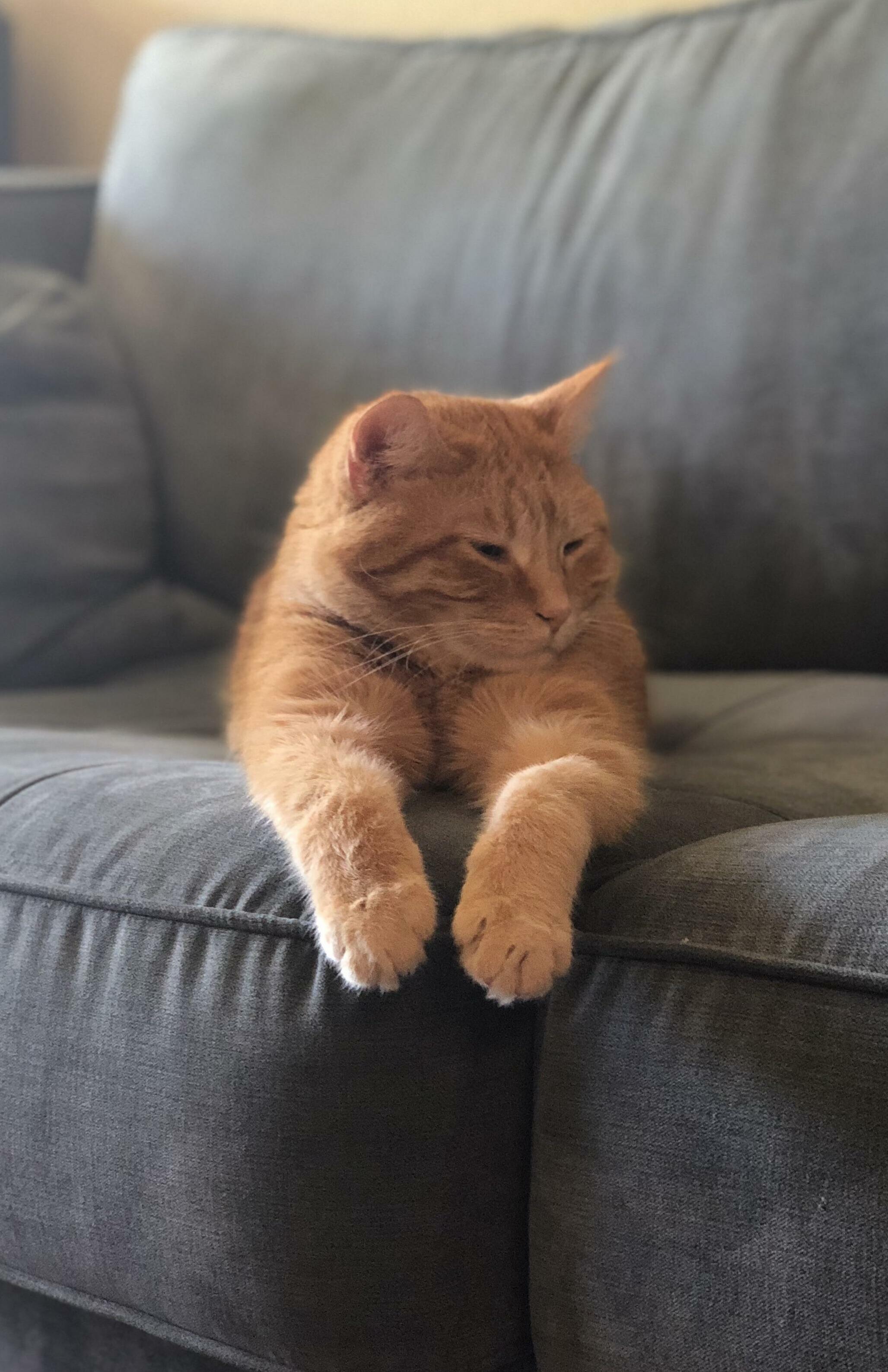 He Takes Up More Space Than I Do...