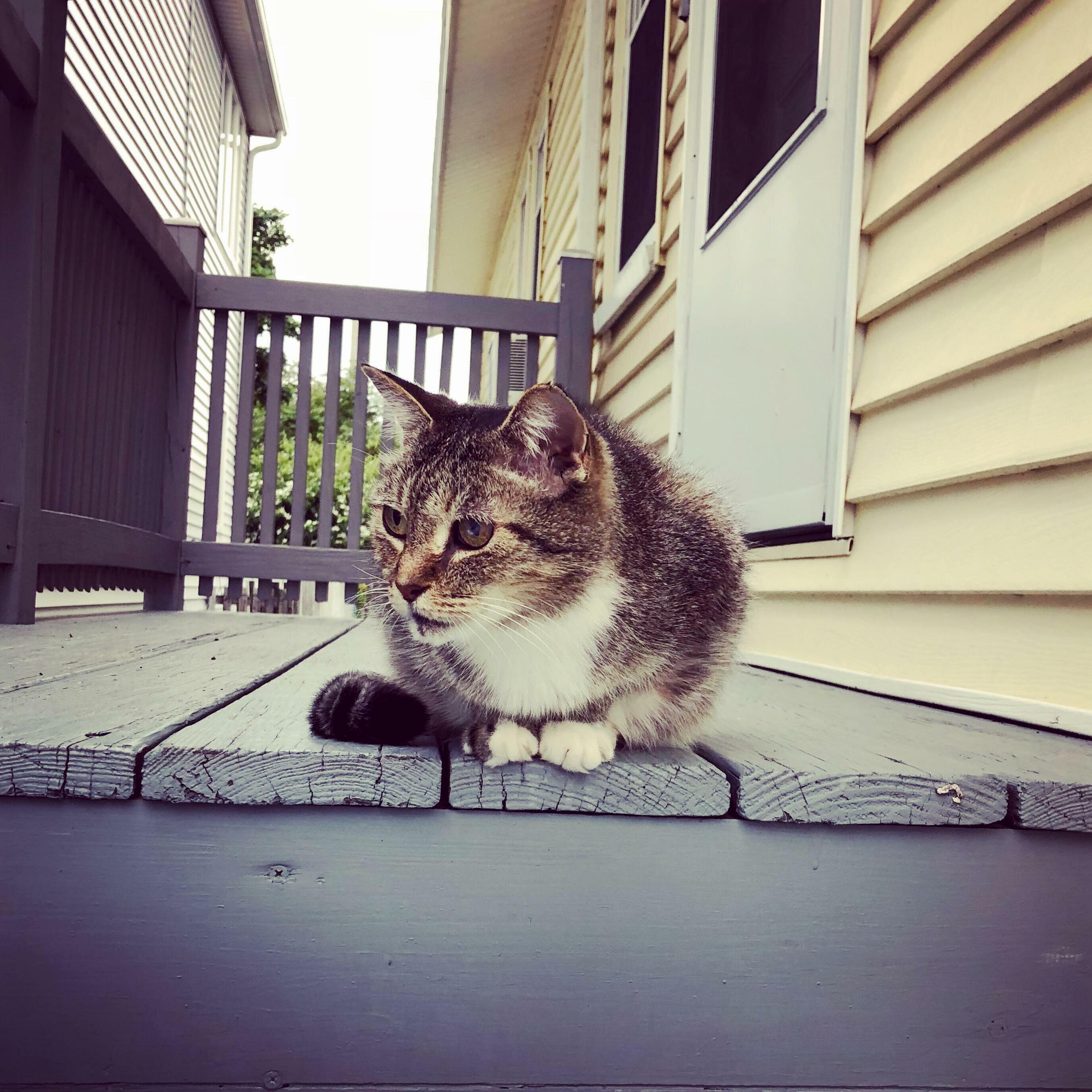 Heart Warming Moment- When I See Duoduo Is Waiting for Me.
