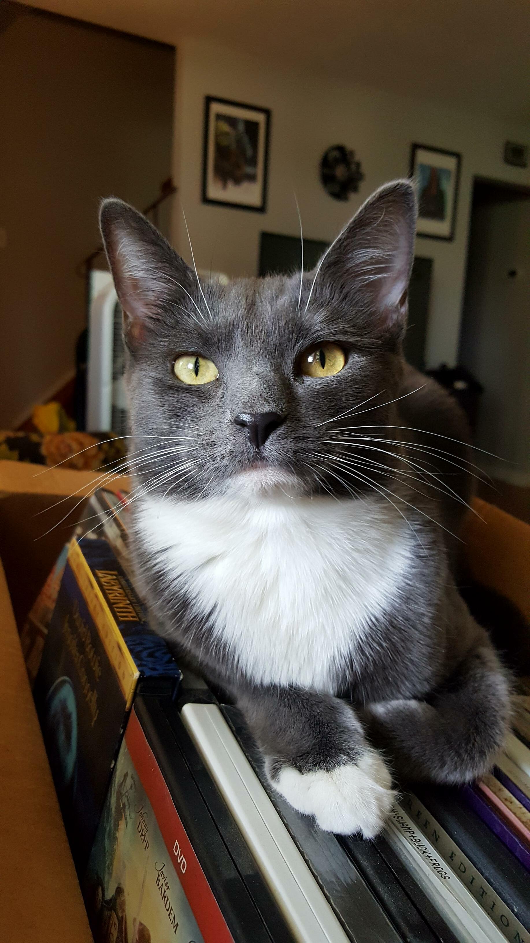 Her Name Is Turd Ferguson but We Call Her Fergie.